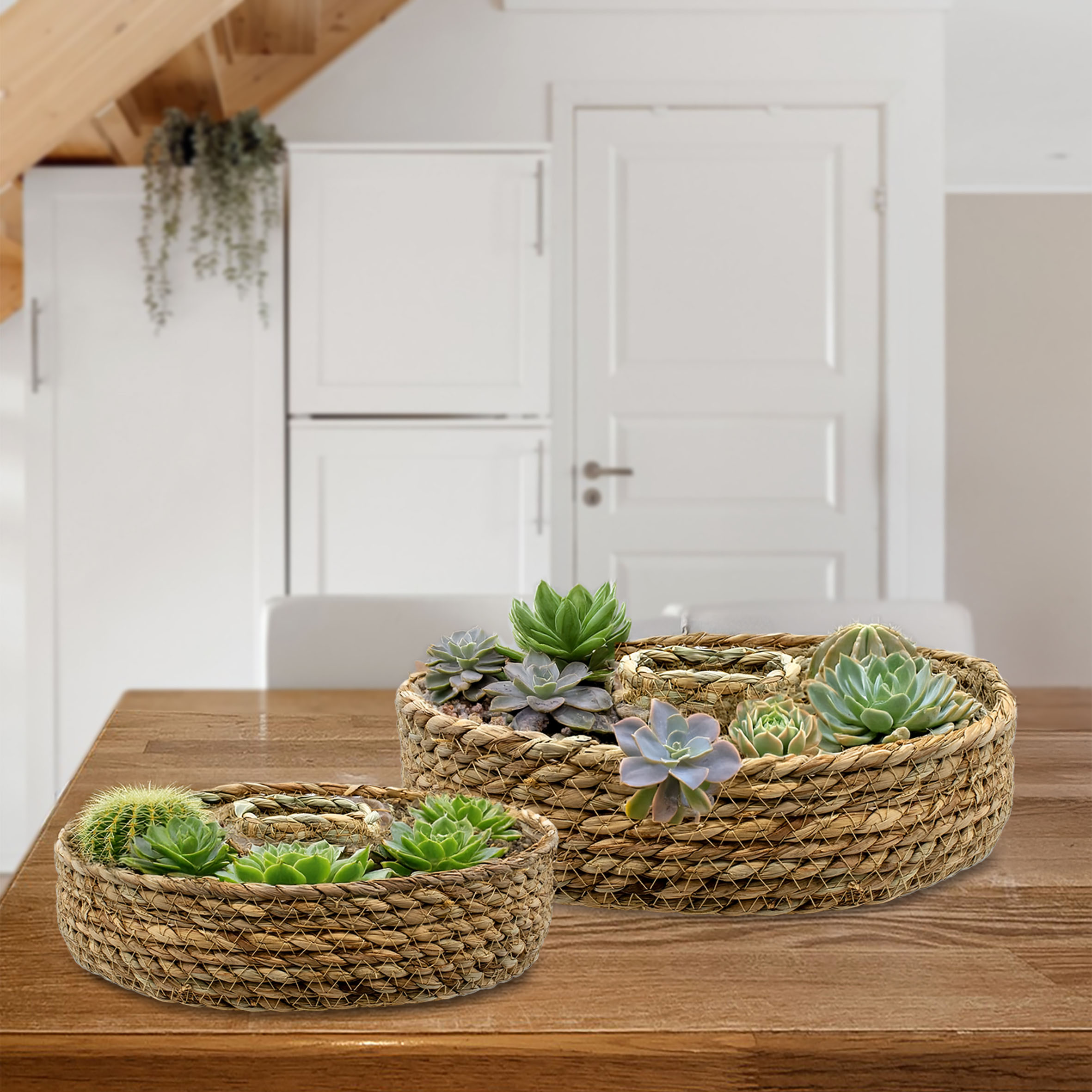Seegras Pflanzring natur 2er Set mit Folie - 34 / 27 cm - Naturfaser Blumenschale zum direkten Bepflanzen