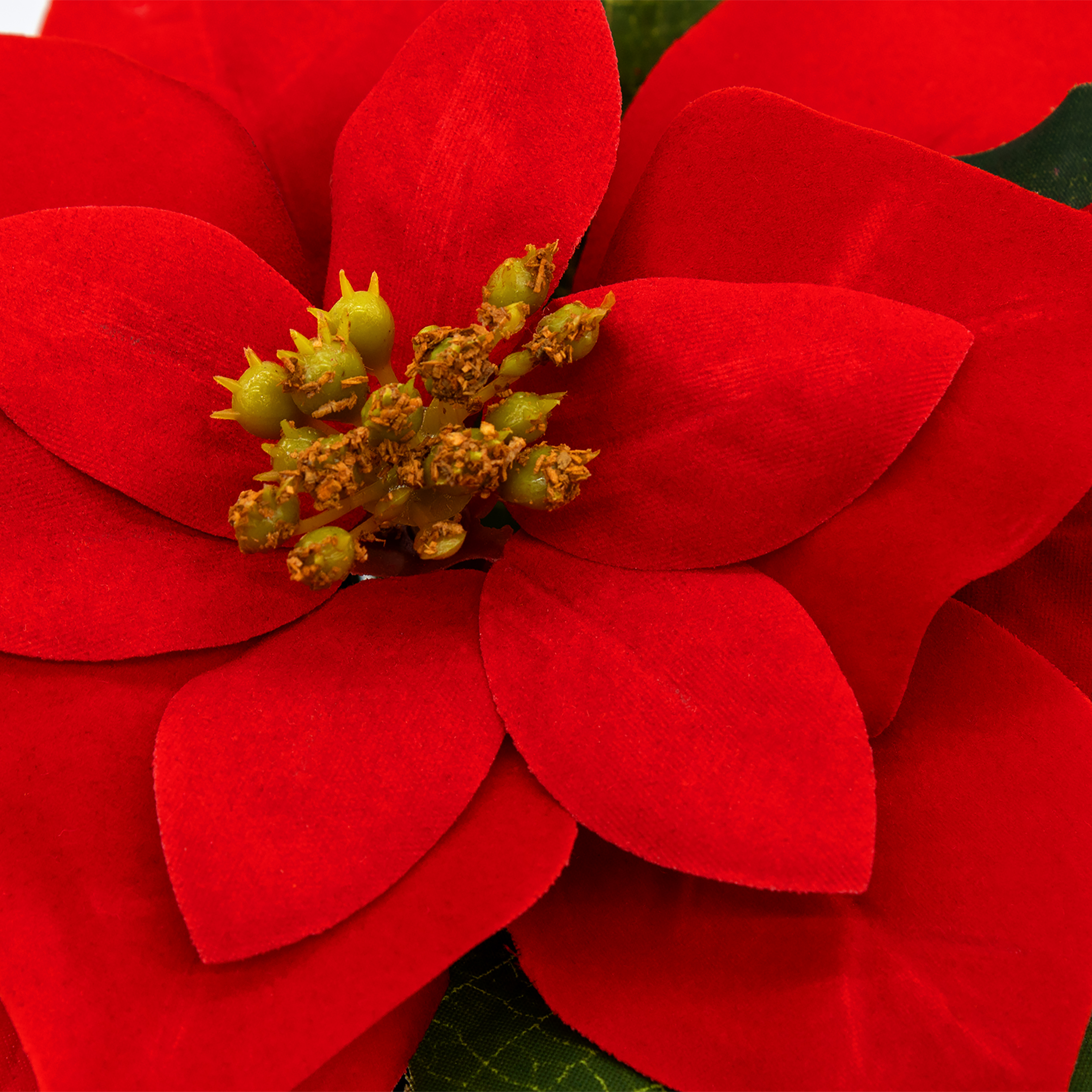 Künstlicher Weihnachtsstern im Blumentopf 20 cm - 3er Set - Kunstblume Poinsettia in naturgetreuer Nachbildung