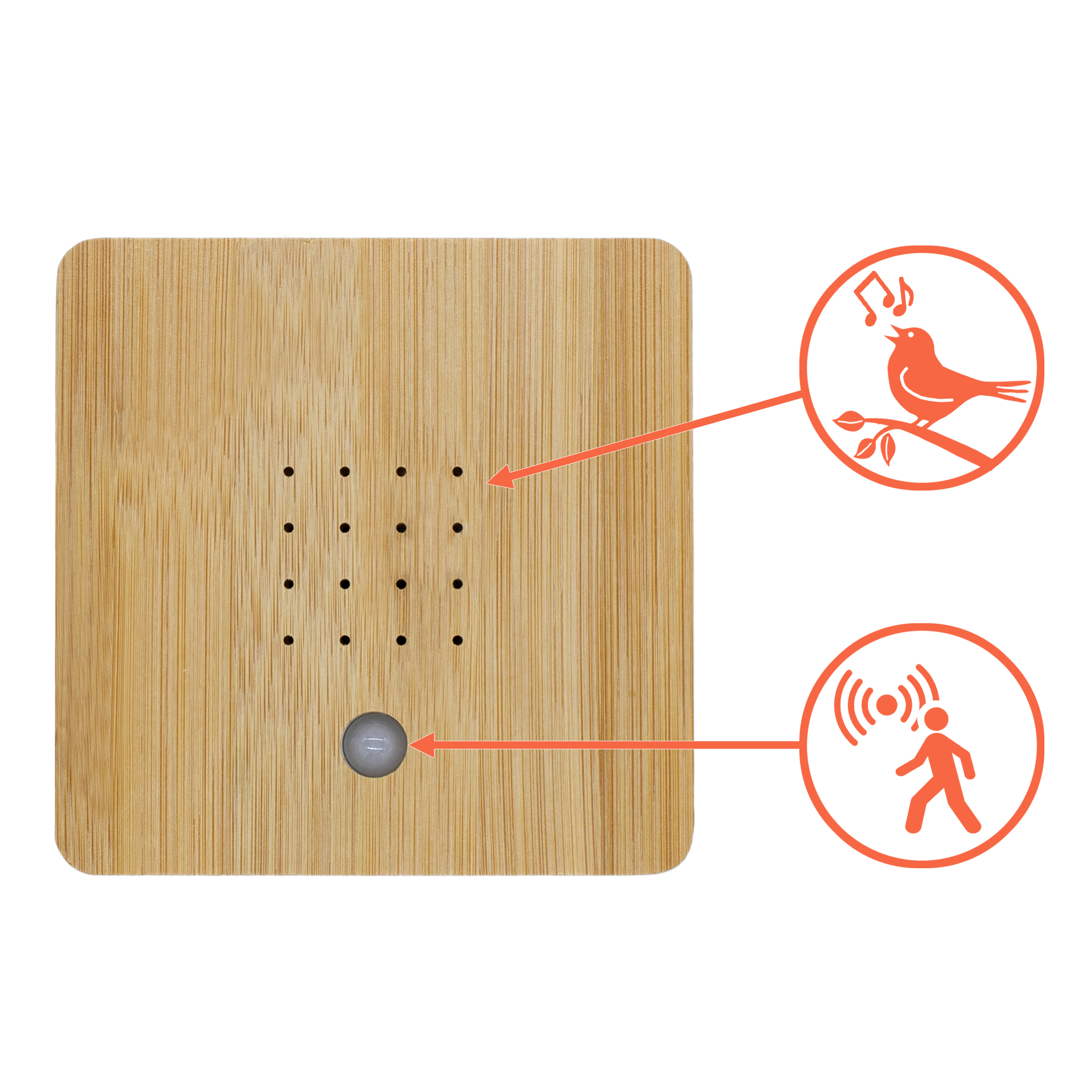 Soundbox Vogelgesang - Optik wählbar - Vogel Zwitscher Sound Box Bewegungsmelder
