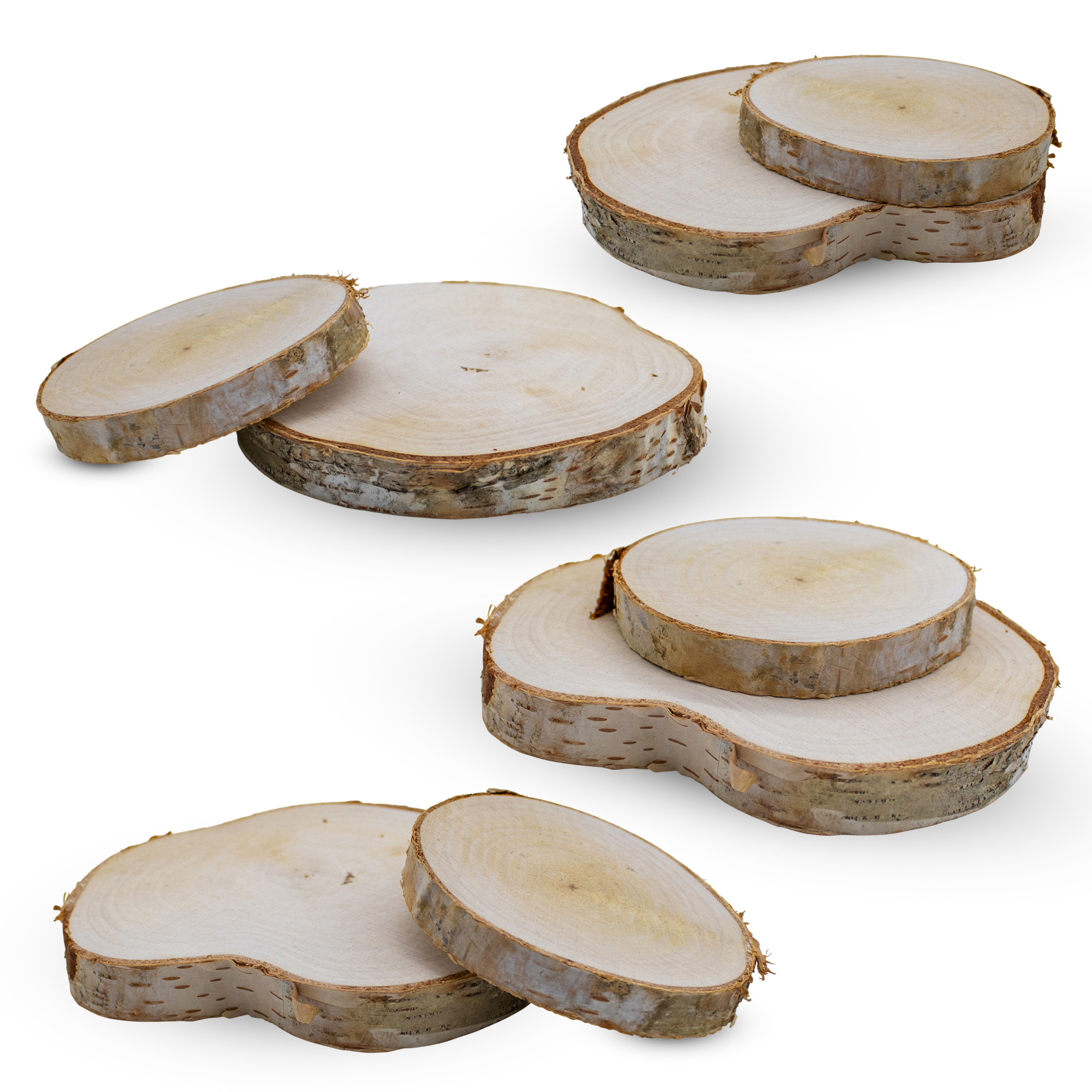 Echtholz Birken Astscheibe natur 7-12 cm - 8er Pack - Birkenholz Baumscheiben zum Basteln und Dekorieren