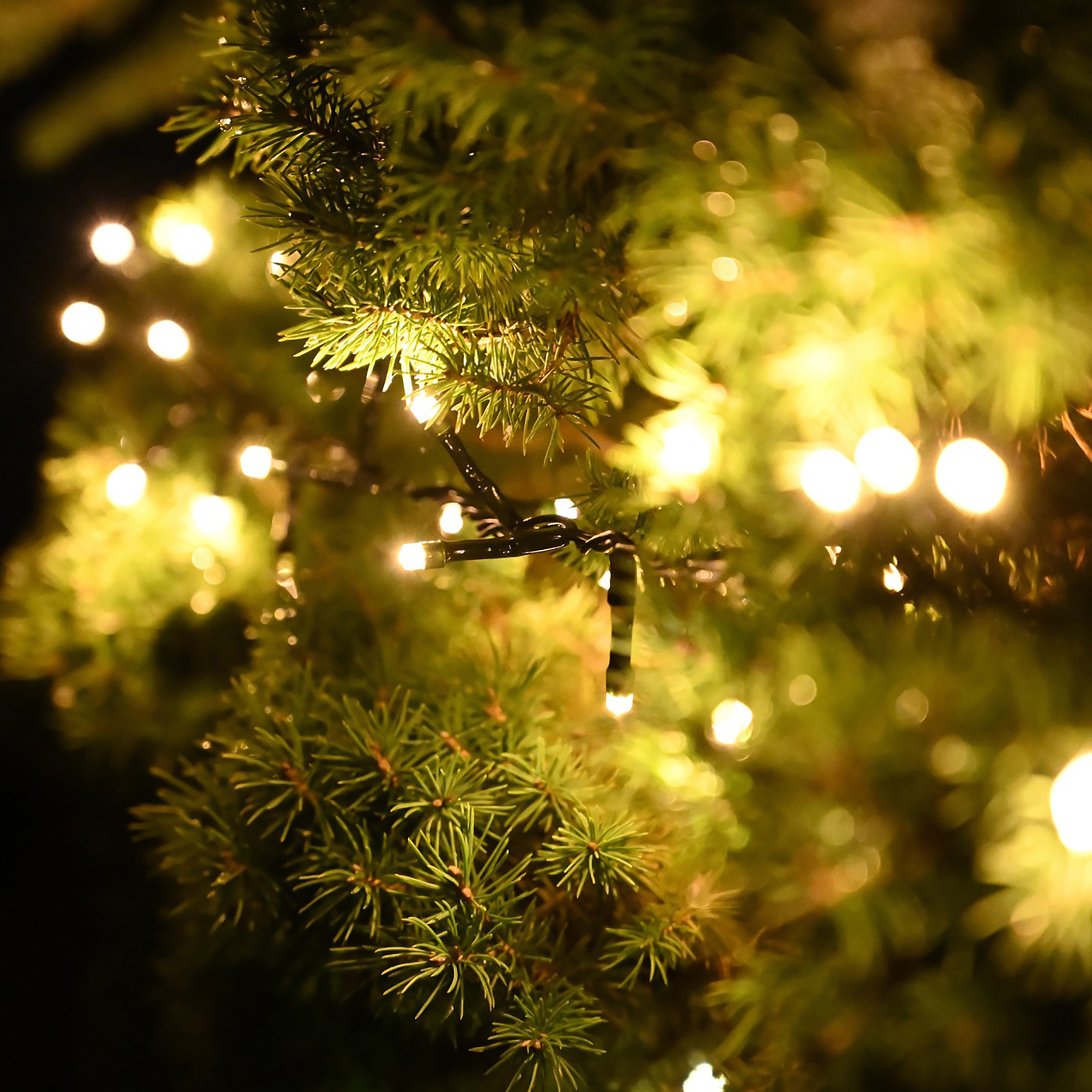 Büschel Lichterkette für Außen warm weiß mit Timer und Netzstecker - 5 m / 384 LED - Outdoor Weihnachtslichterkette mit 8 Funktionen