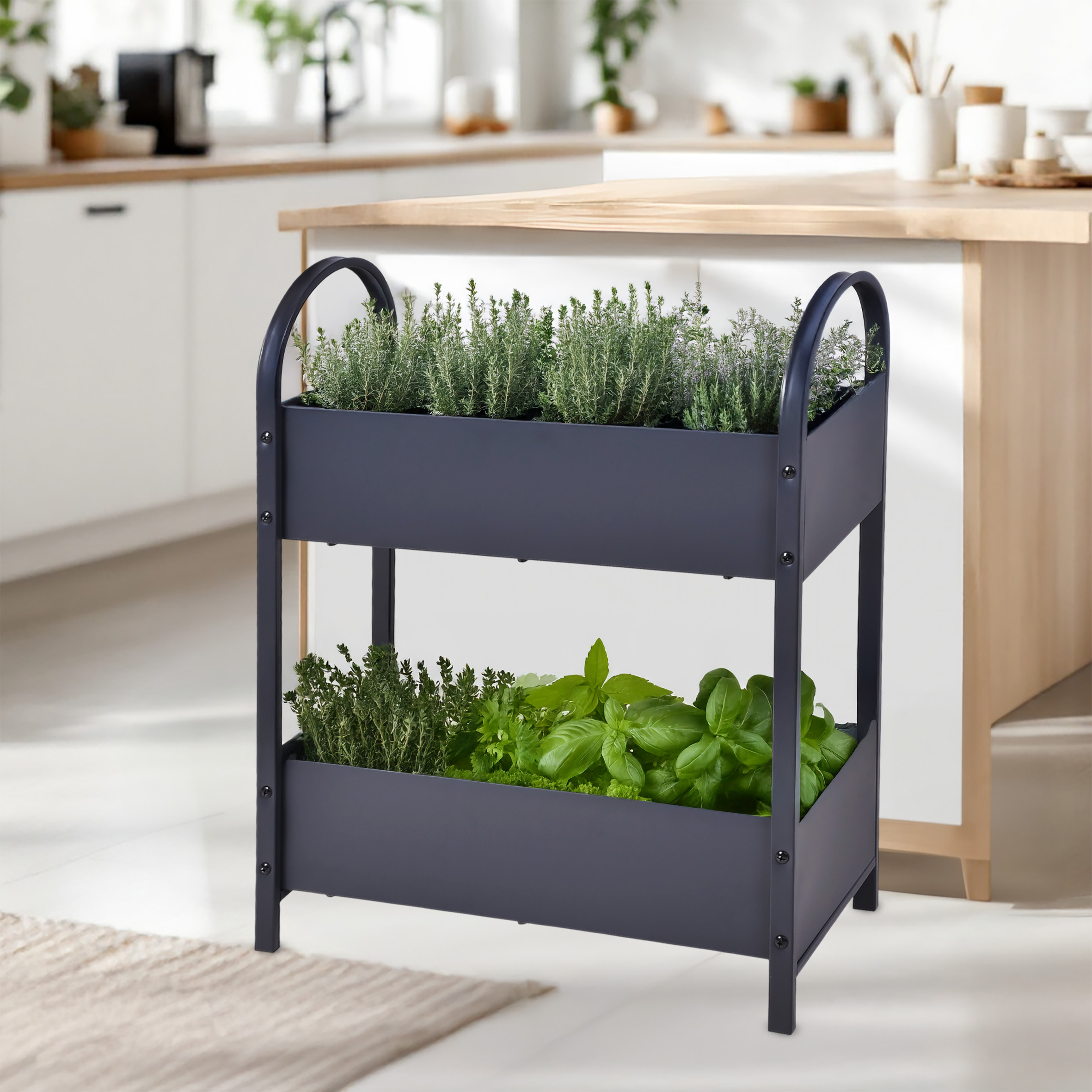 Metall Etagen Hochbeet anthrazit pulverbeschichtet - 60 x 22 cm - Frühbeet aus Eisen dunkelgrau mit 2 Pflanzkästen