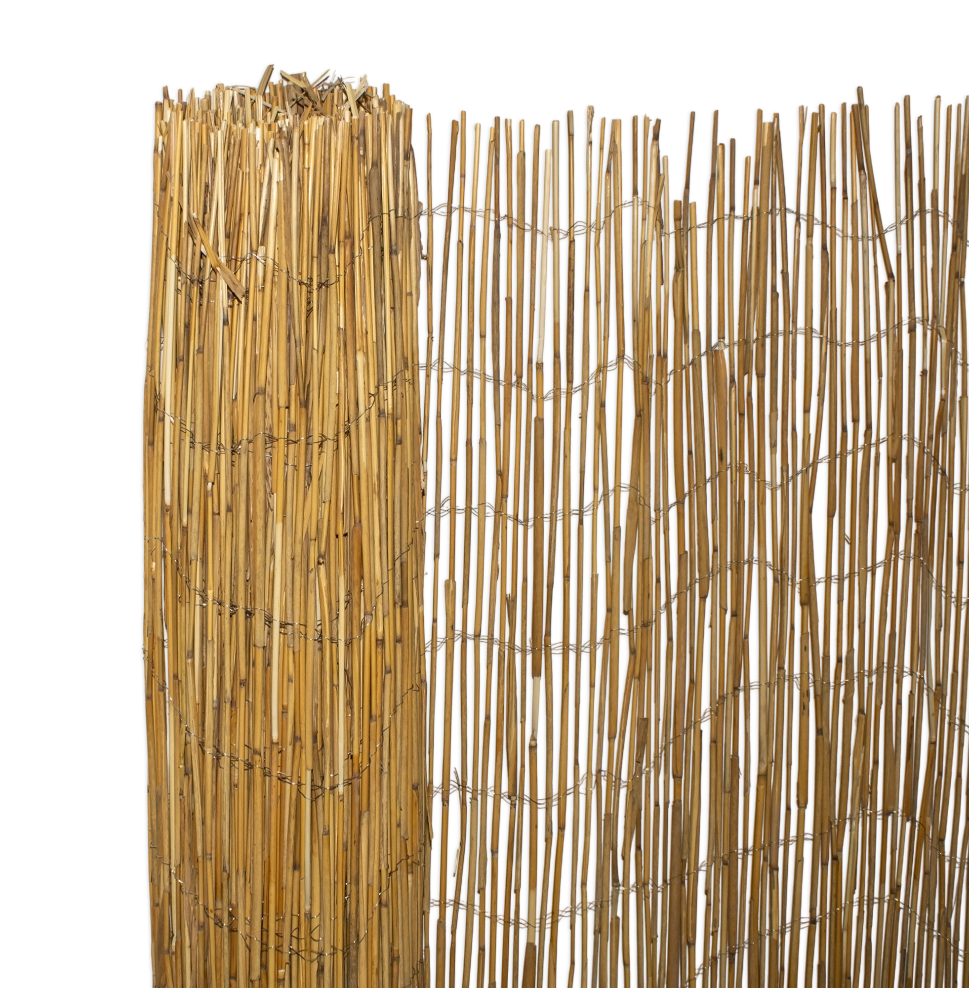 Sichtschutz Matte aus natürlichem Schilf - 500 x 100 cm - Schilfrohr Windschutz Zaun blickdicht