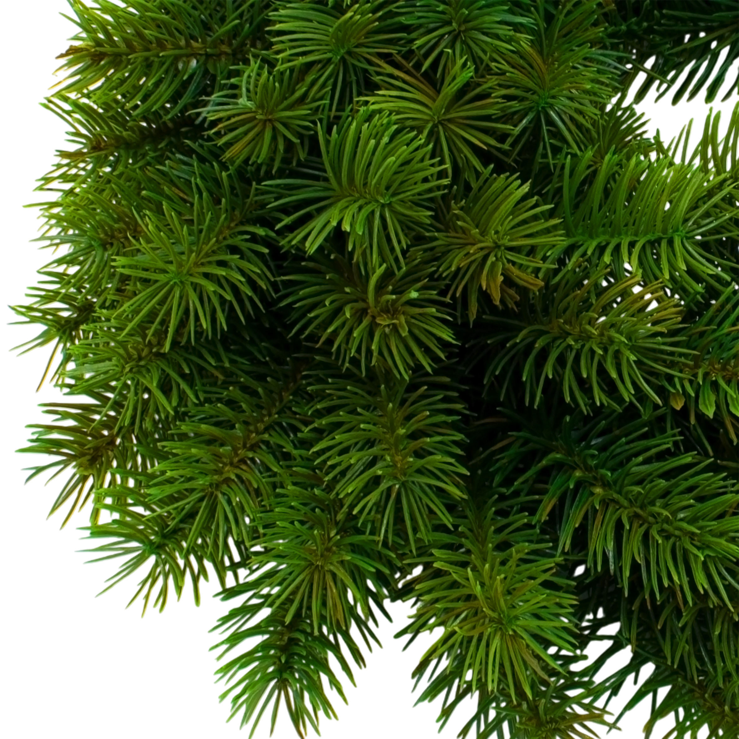 Künstlicher Edel Tannenkranz grün halbgebunden aus Spritzguss - 48 cm - Hochwertiger Adventskranz mit naturgetreuen Tannenspitzen