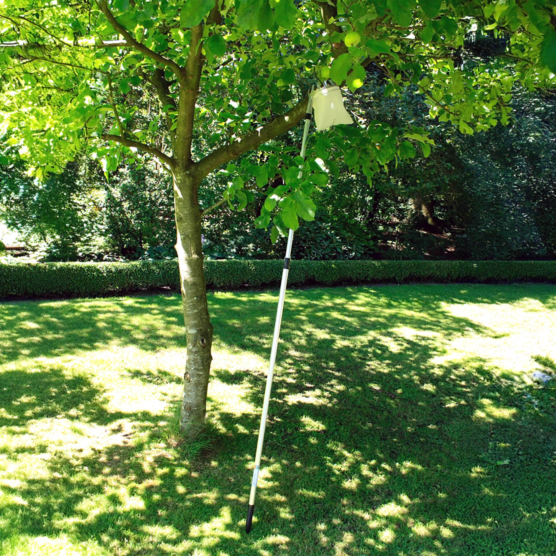 Obstpflücker mit Teleskopstiel und Fangbeutel mit Pflückkranz - ausziehbar bis 240 cm - Fruchtpflücker mit Erntebeutel und Teleskopstange
