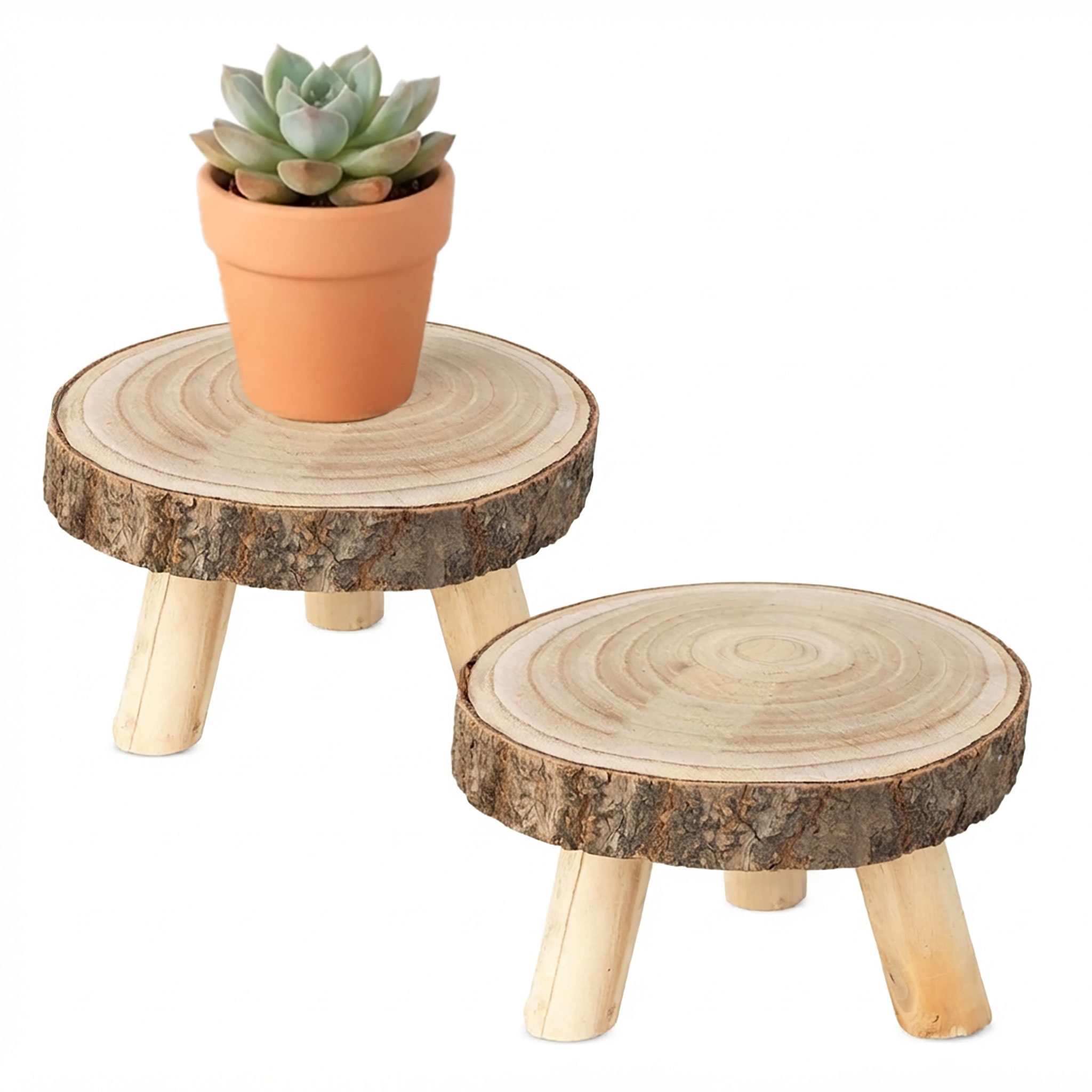 Blumenhocker aus Baumscheibe rund mit Rinde - 2er Set - Holz Pflanzenständer natur auf 3 Füßen