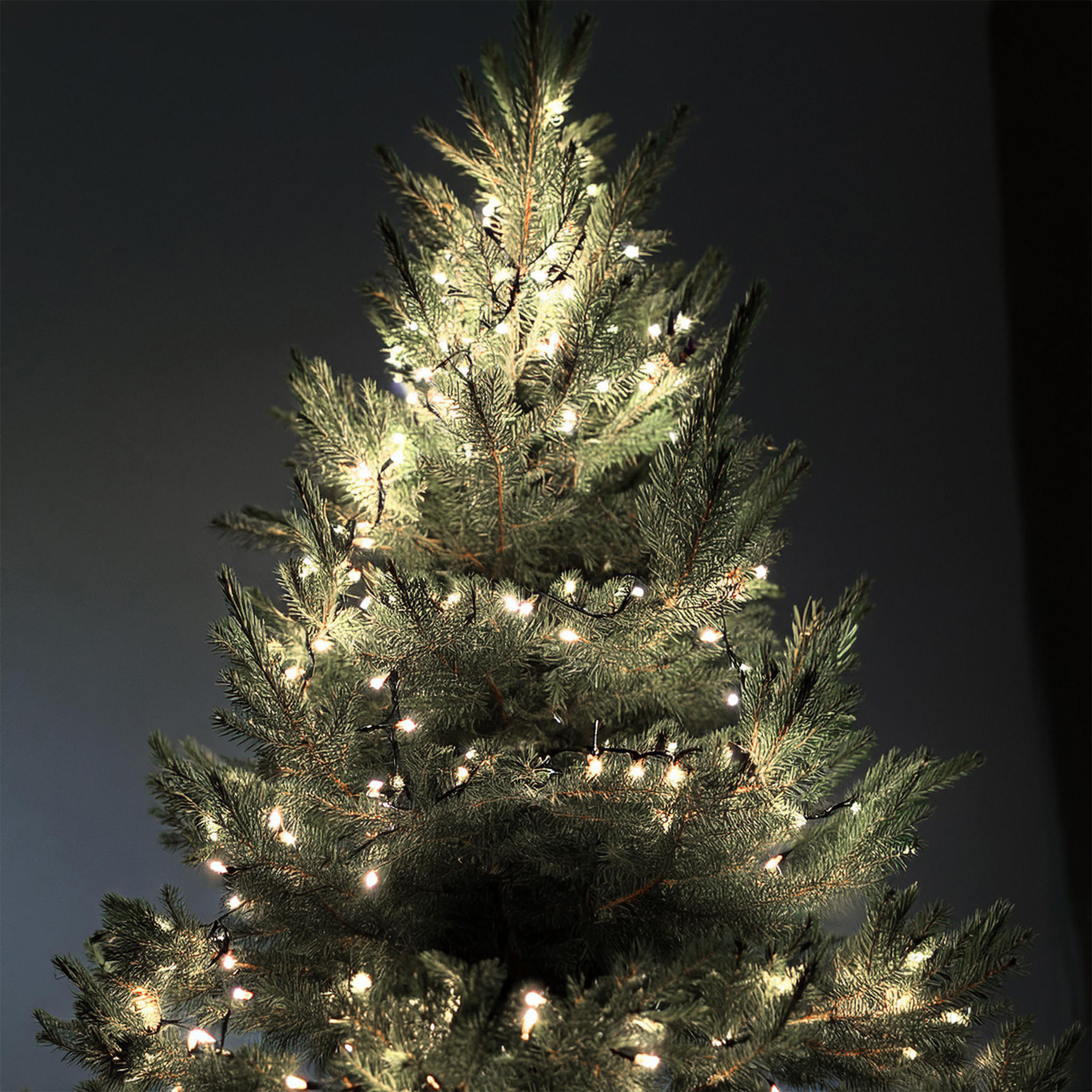 LED Weihnachts Lichterkette kalt weiß - 40 LED - Deko Garten Beleuchtung für Innen und Außen