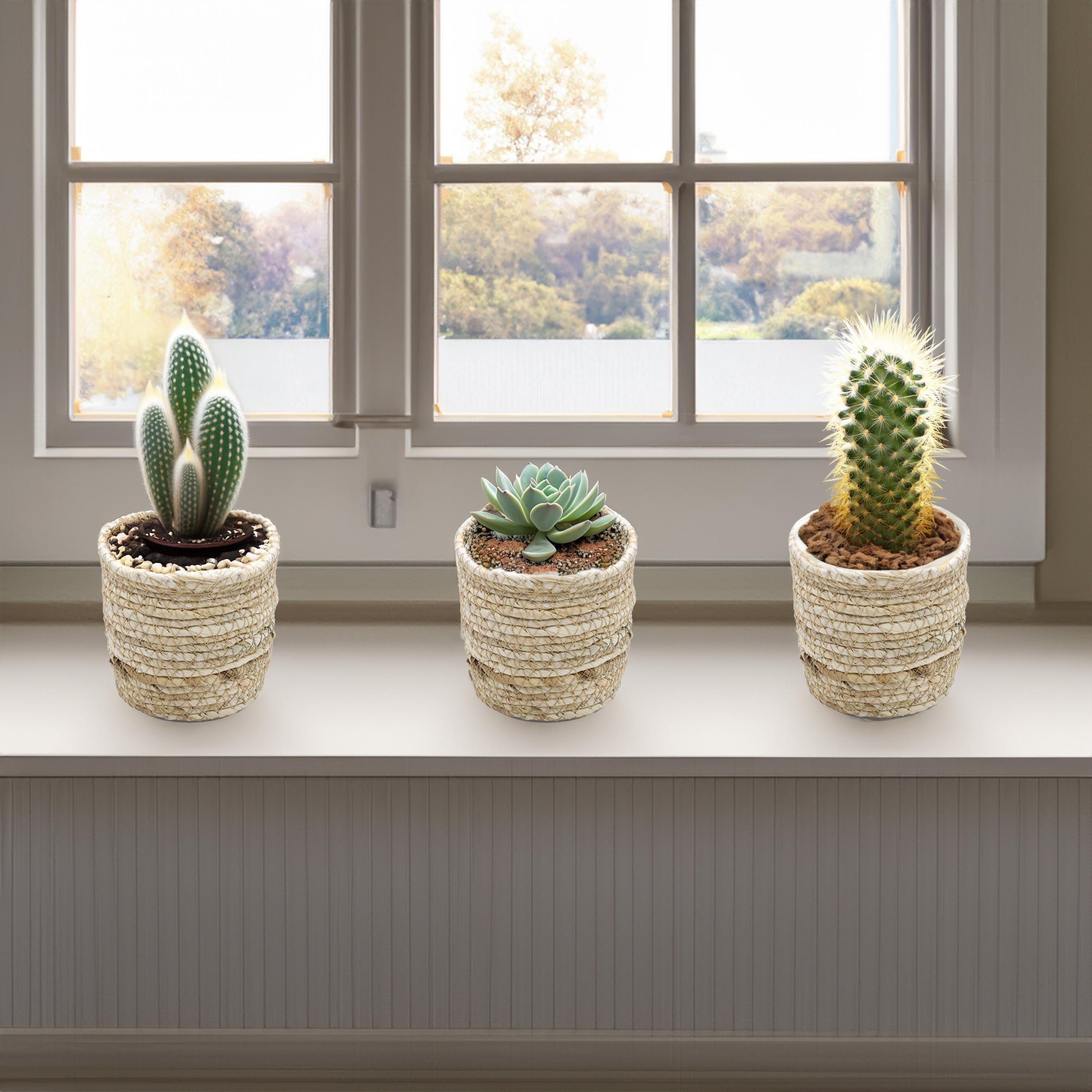 Mini Blumentopf aus Grasgeflecht 10 cm - 6er Set - Pflanzgefäß aus Naturfasern mit Folie ausgekleidet
