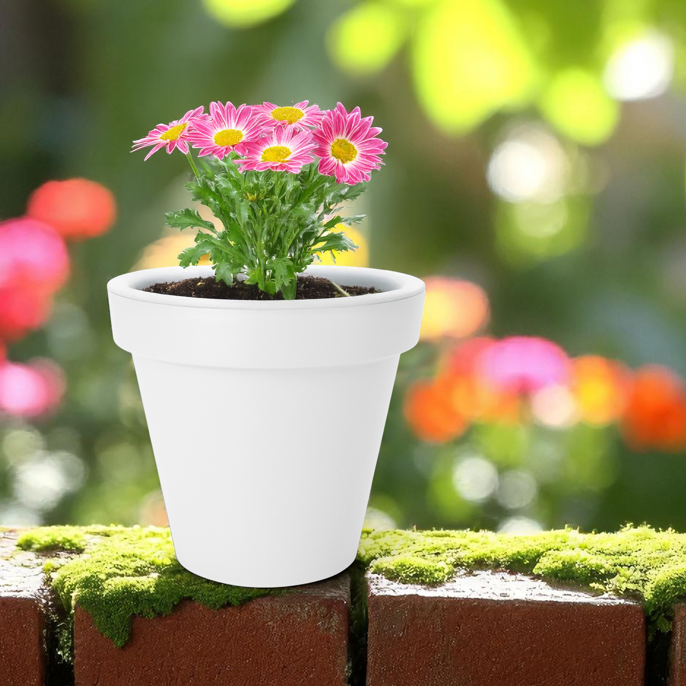 Kunststoff Pflanzkübel XS rund Ø 25 cm - weiß - Blumenkübel klein für Außen und Innen
