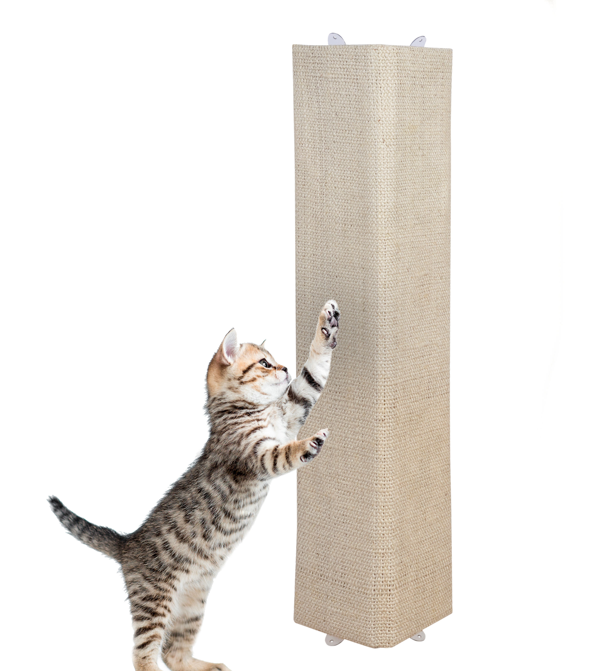 Katzen Kratzbrett mit 2 verschiedenen Seiten - 50 cm oder 80 cm / 1er oder 2er Pack - Sisal und Plüsch Kratzecke zum Legen oder Hängen