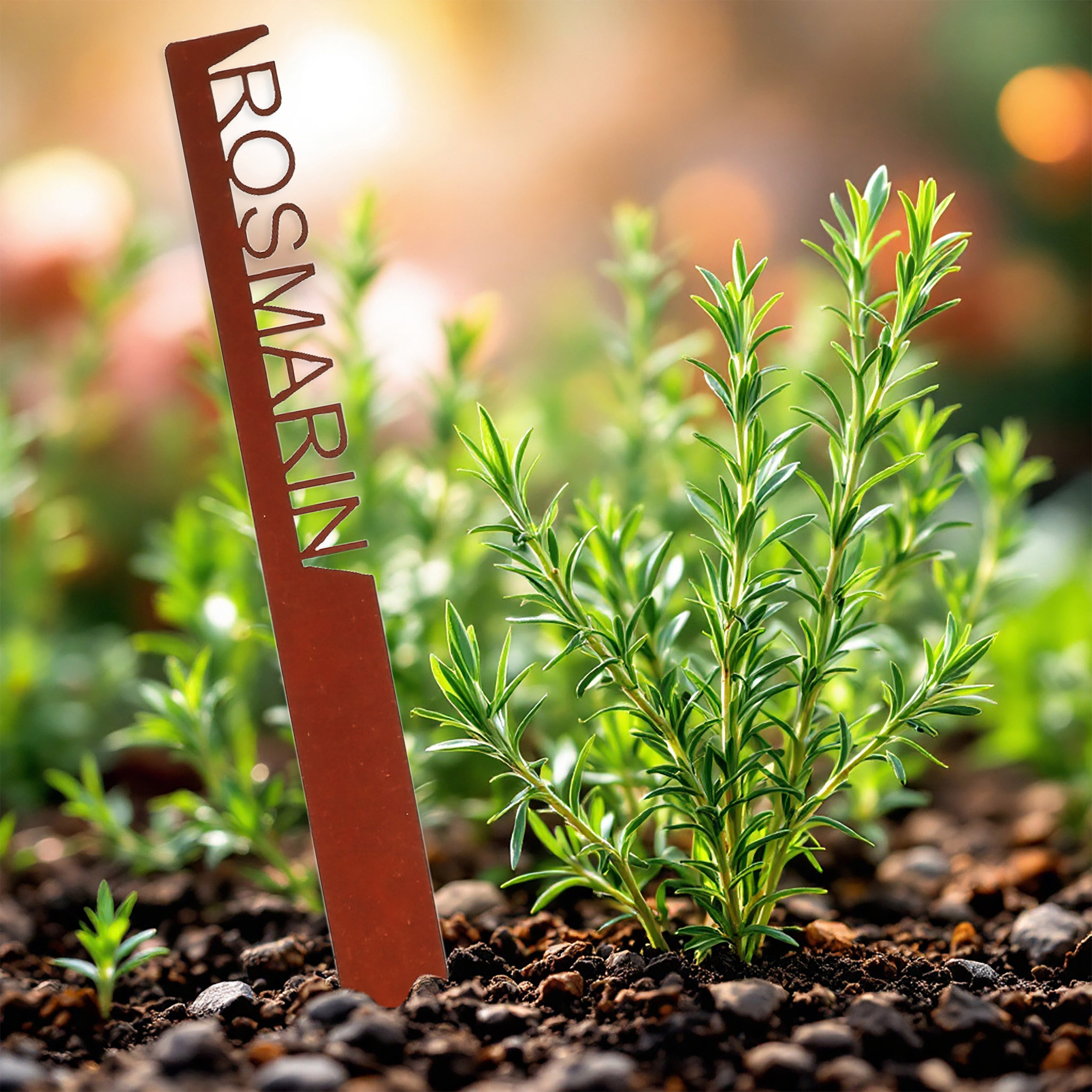 Eisen Kräuterstecker 25 cm Rost Design - 8er Set - Garten Deko Kräuterschild Edelrost Optik