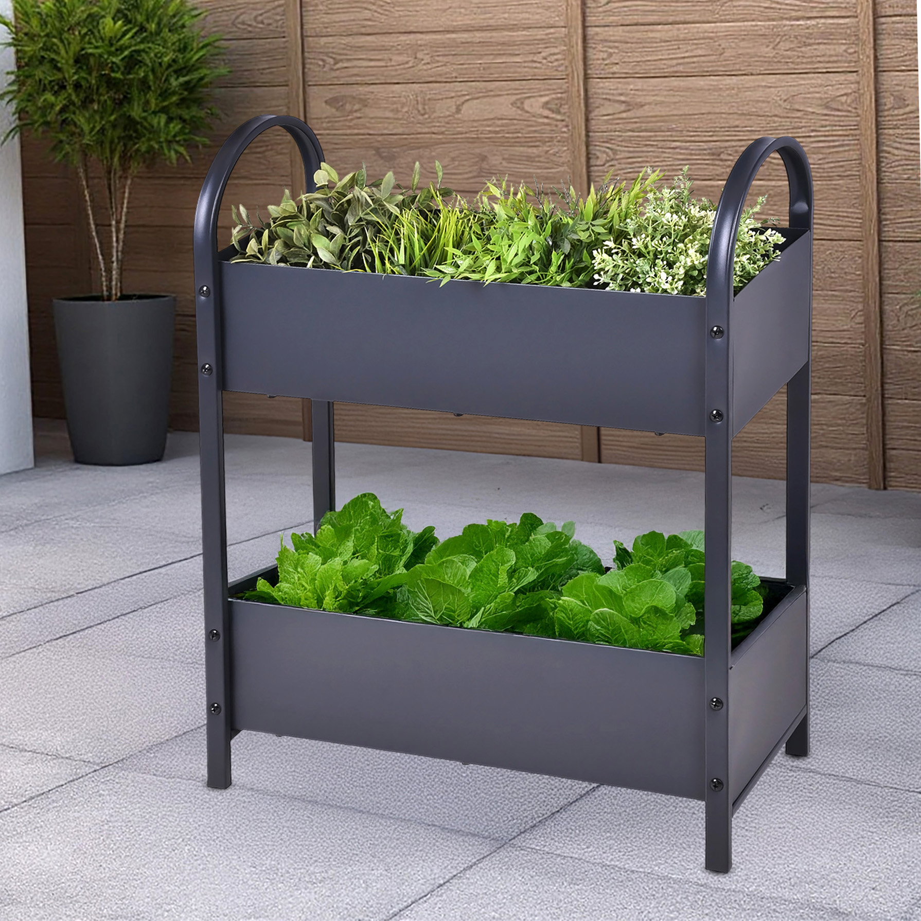 Metall Etagen Hochbeet anthrazit pulverbeschichtet - 60 x 22 cm - Frühbeet aus Eisen dunkelgrau mit 2 Pflanzkästen
