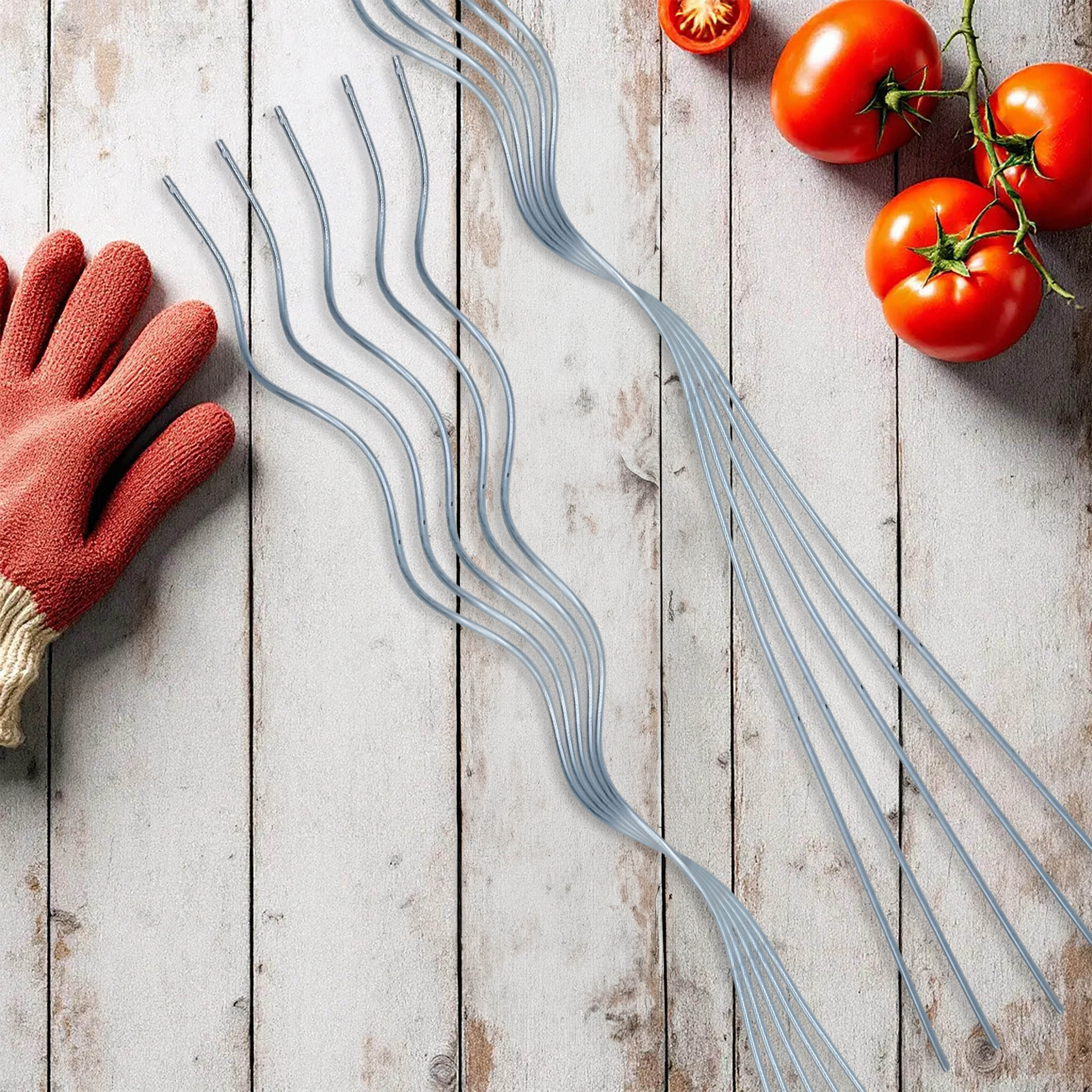 Tomaten Spiralstab verzinkt 110 cm - 10er Set - Metall Rankstab für Tomatenpflanzen