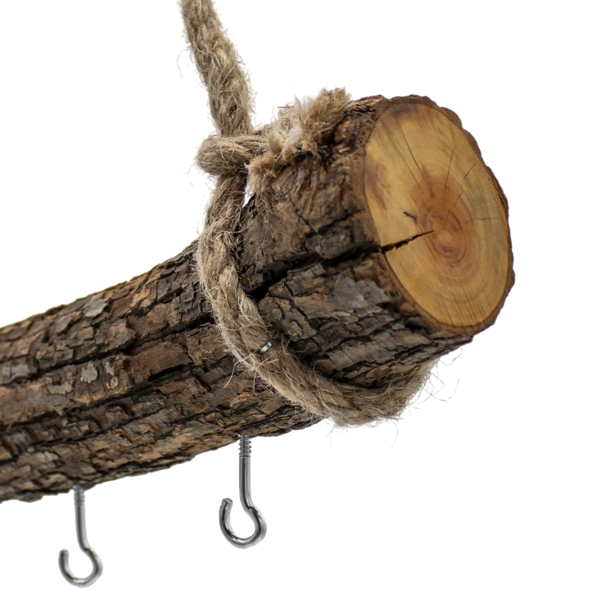 Holzast massiv zum Hängen mit 6 Haken zum Dekorieren - 56 cm - Massivholz Stange Wanddeko Hänger mit Naturkordel