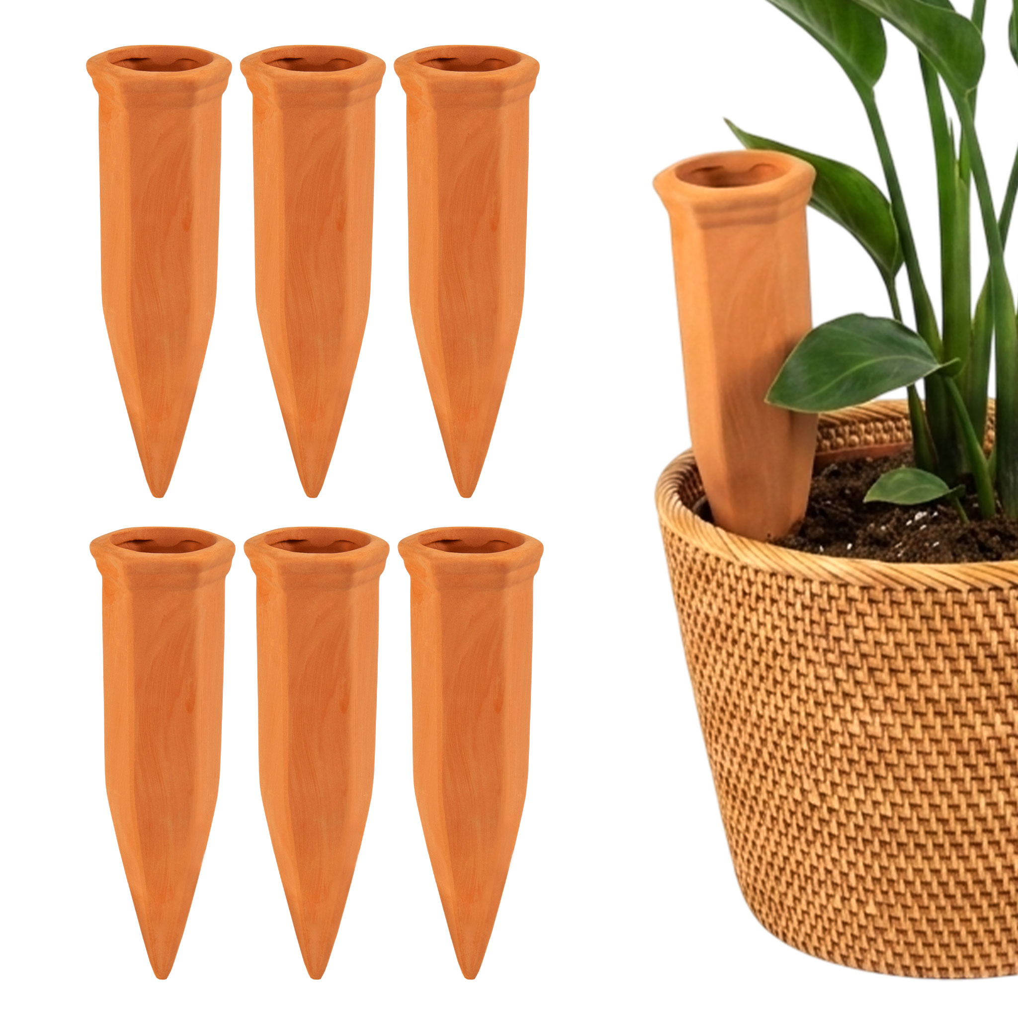 Tonkegel Wasserspender Aufsatz für PET Flasche - 6er Set - Gießkegel für Topfpflanzen und Balkonkasten