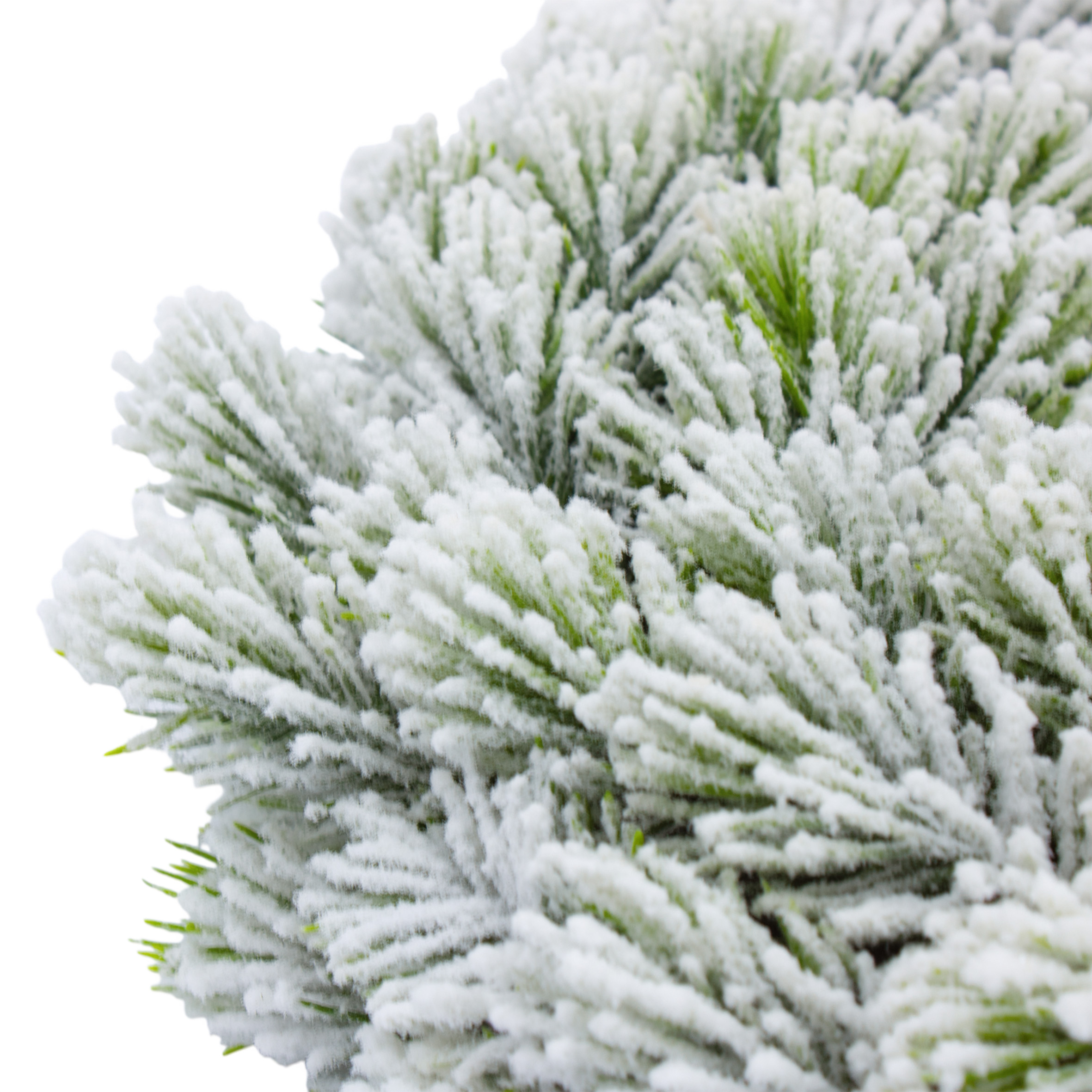 Künstlicher Weihnachtskranz halbgebunden mit Kunstschnee - 30 cm - Hochwertiger Adventskranz mit naturgetreuen Tannenspitzen