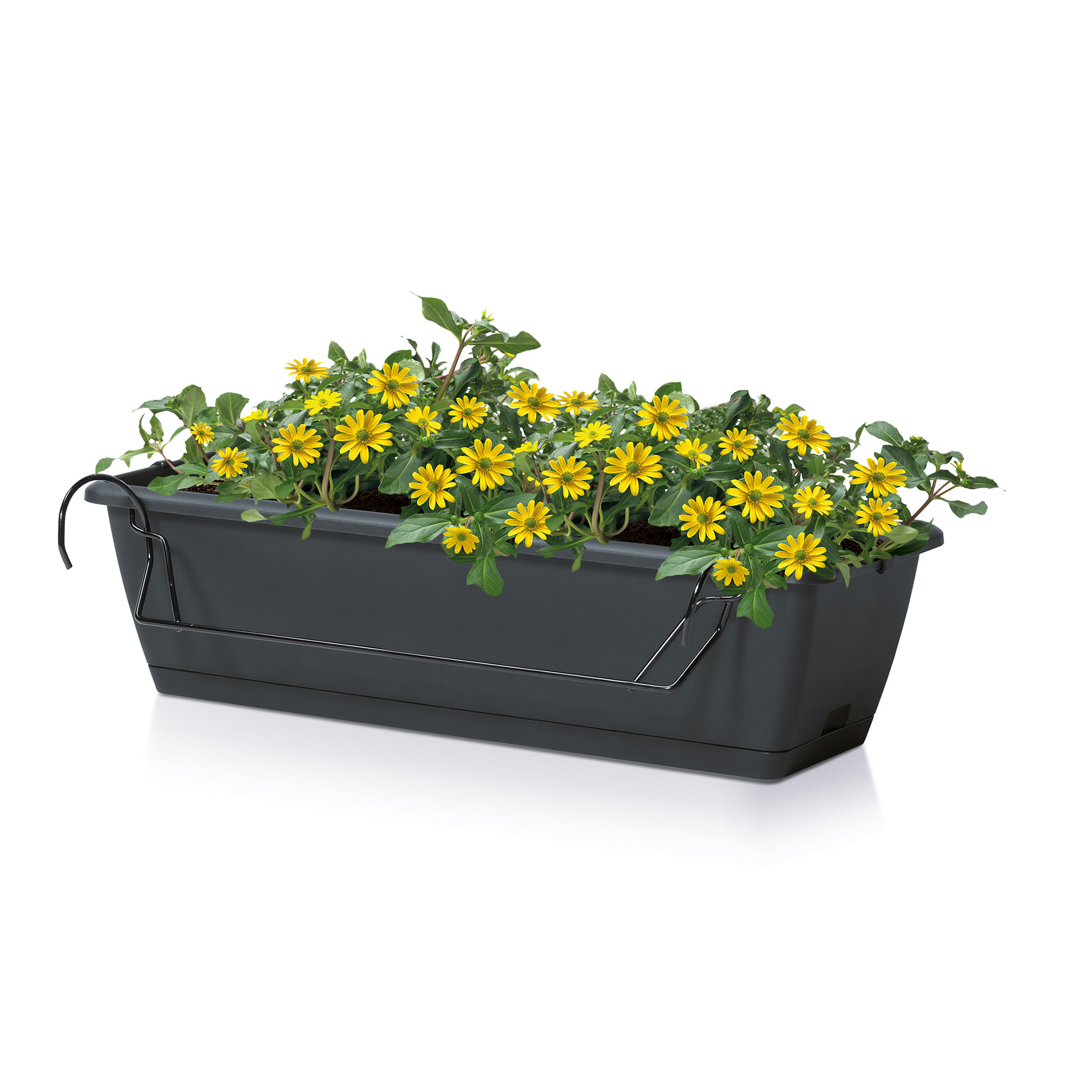 Balkon Blumenkasten mit Halterung und Bewässerungssystem - 40 cm oder 60 cm - Kunststoff Geländer Pflanztopf in anthrazit - Blumentopf Pflanzkasten zum Einhängen mit Wasserablauf