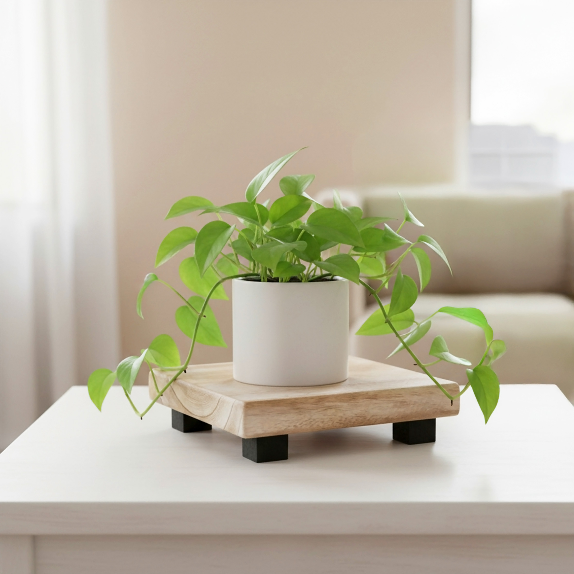Holz Blumenhocker natur eckig klein  - 21 x 21 cm - Mini Pflanzenhocker mit 4 Füßen in schwarz