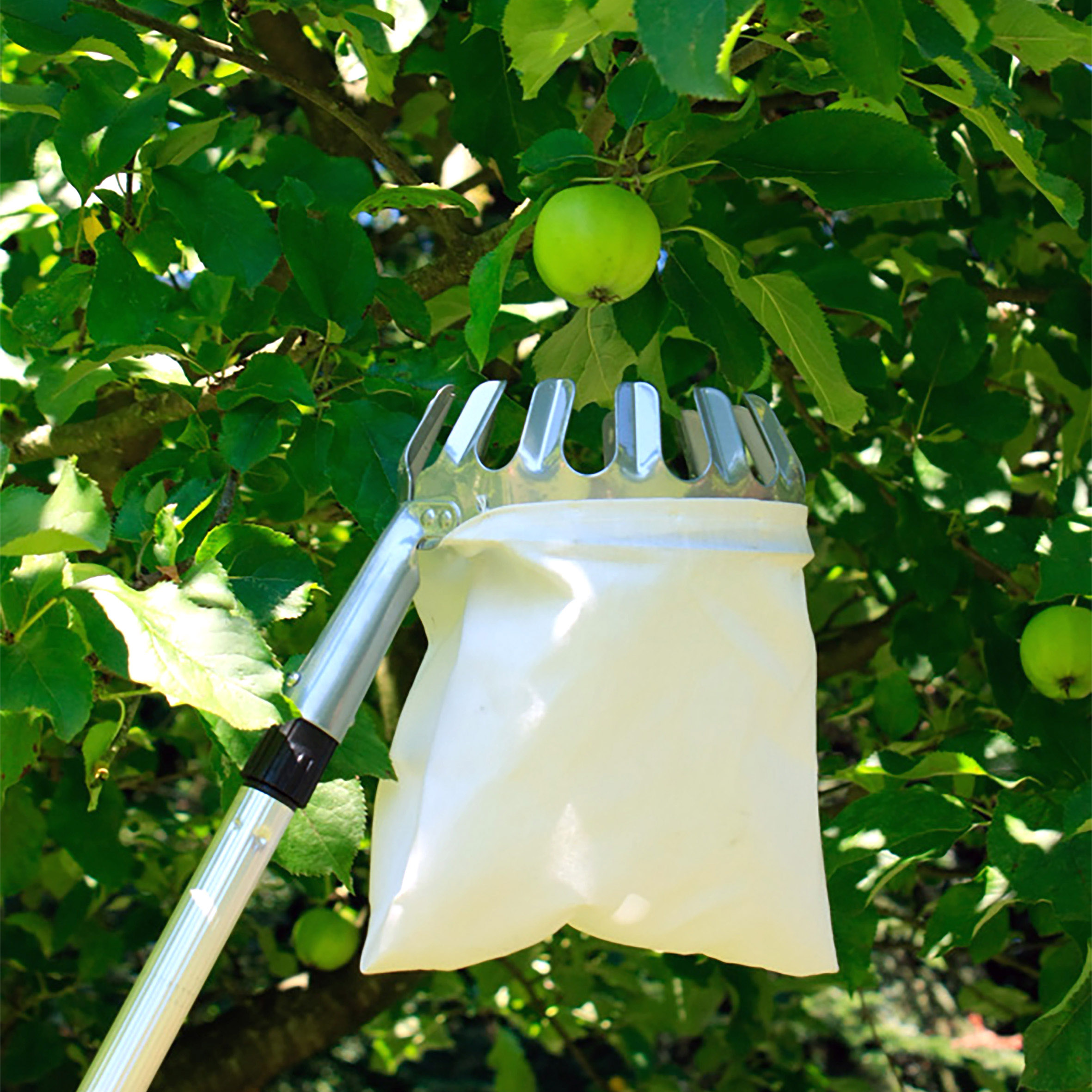 Obstpflücker mit Teleskopstiel und Fangbeutel mit Pflückkranz - ausziehbar bis 240 cm - Fruchtpflücker mit Erntebeutel und Teleskopstange