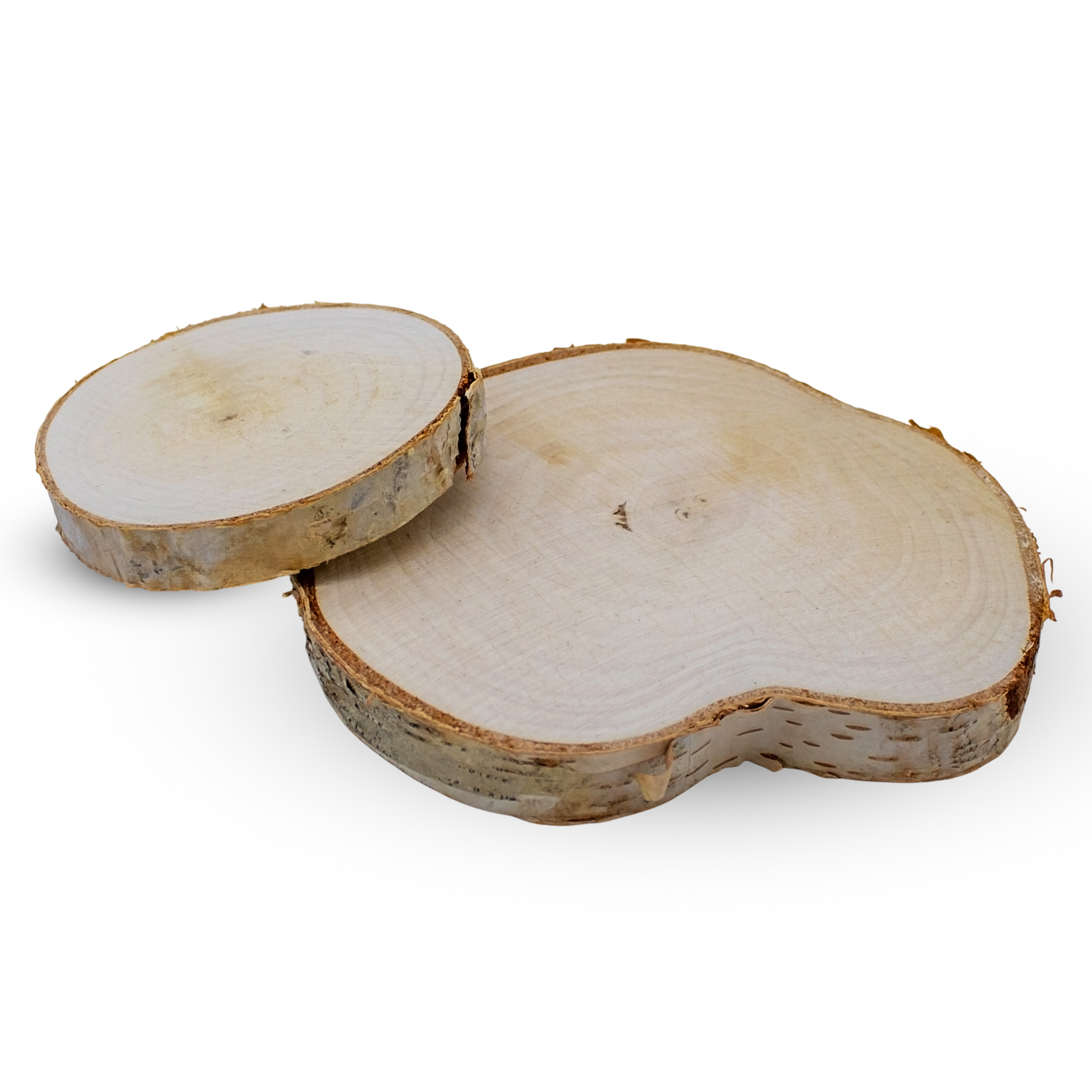 Echtholz Birken Astscheibe natur 7-12 cm - 8er Pack - Birkenholz Baumscheiben zum Basteln und Dekorieren