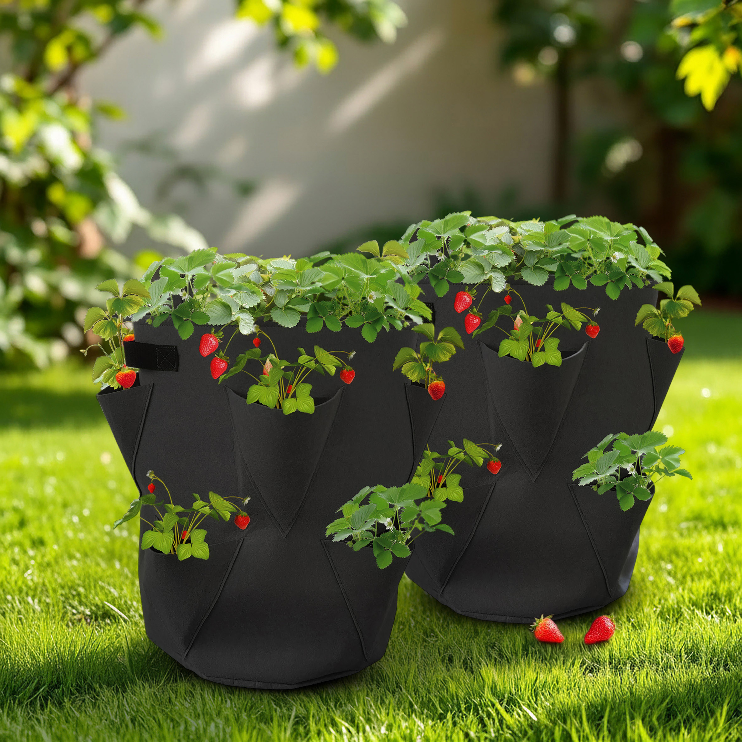 Erdbeer Pflanzsack 2er Set aus Filz - 45 x 35 cm - Pflanzbeutel für Erdbeeren und Klein-Gemüse