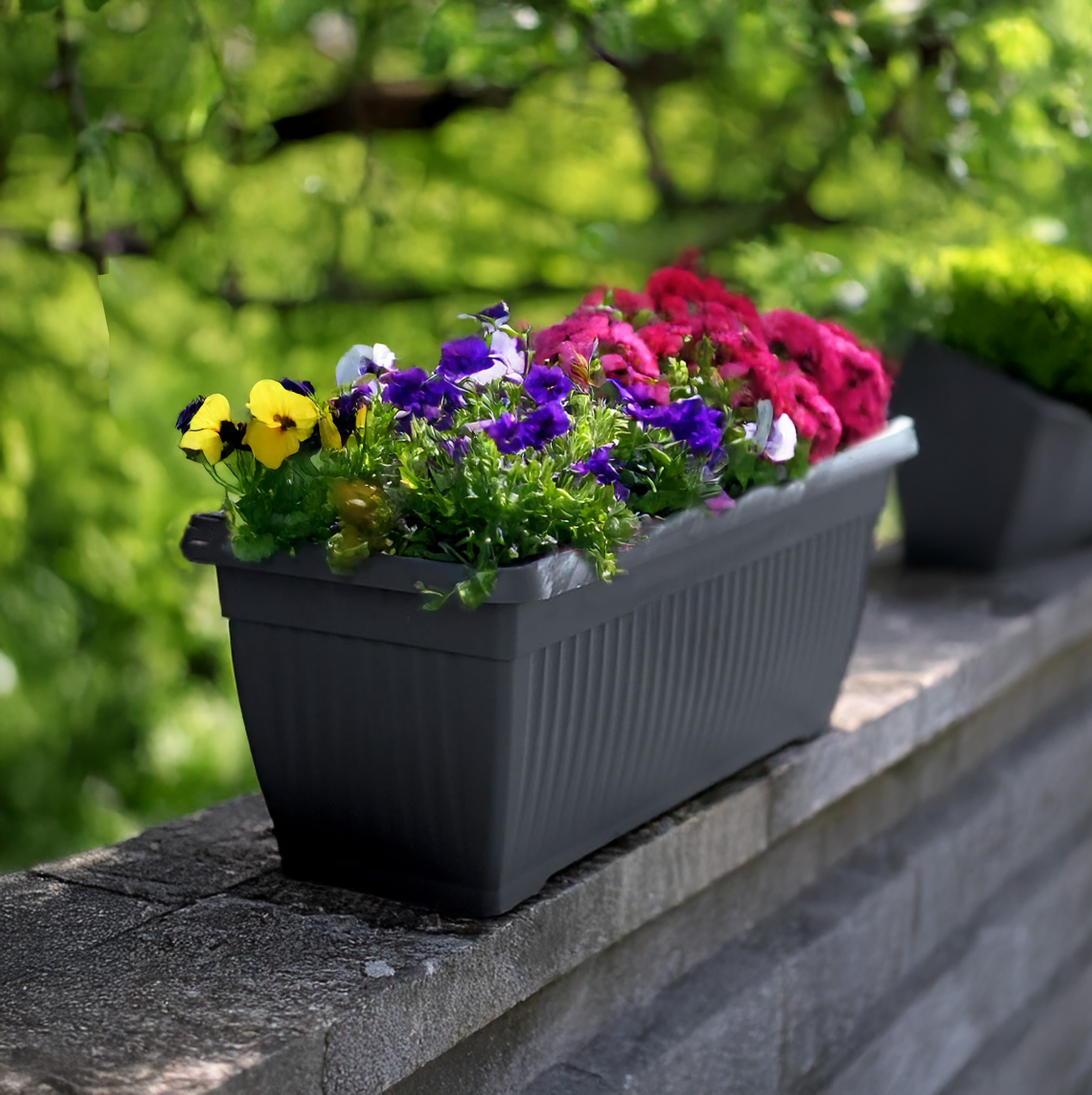 Kunststoff Pflanzkasten rechteckig anthrazit - 80 x 33 cm - XXL Blumenkasten im Romantic Design