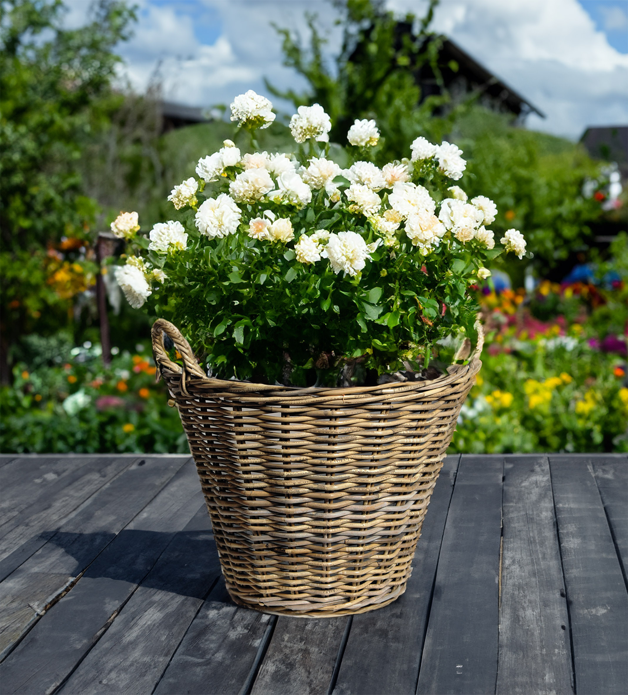 Rattan Pflanzkorb natur mit Henkeln - 34 cm - Weide Blumenkorb mit Folie