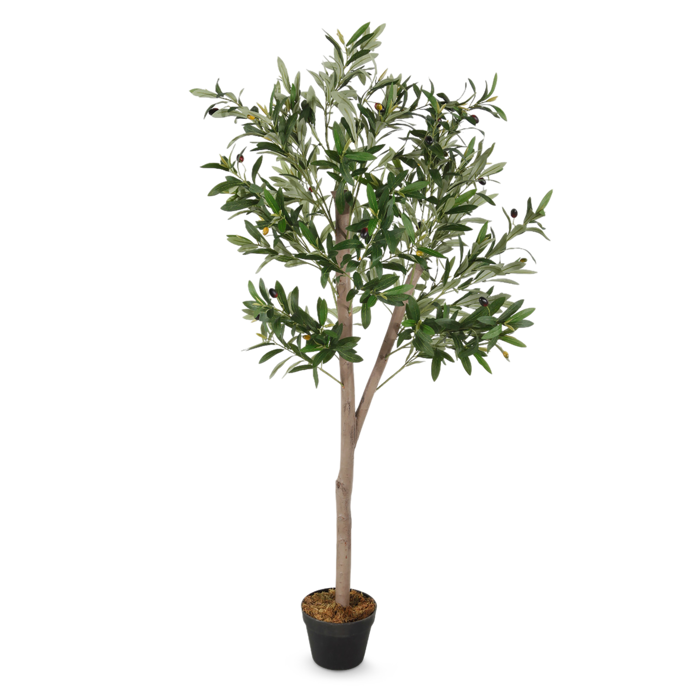 Olivenbaum Kunstpflanze im schwarzen Topf mit 32 Oliven - 150 x 70 cm - Künstlicher Baum im Blumentopf mit 928 Blättern