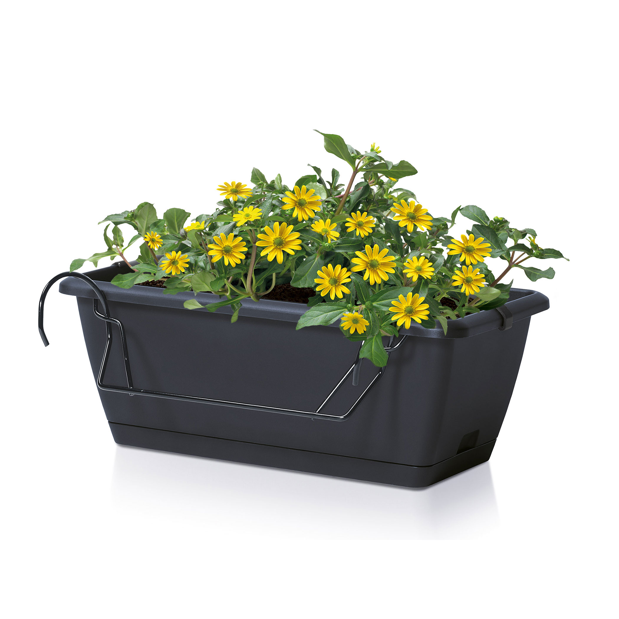 Balkon Blumenkasten mit Halterung und Bewässerungssystem - 40 cm oder 60 cm - Kunststoff Geländer Pflanztopf in anthrazit - Blumentopf Pflanzkasten zum Einhängen mit Wasserablauf