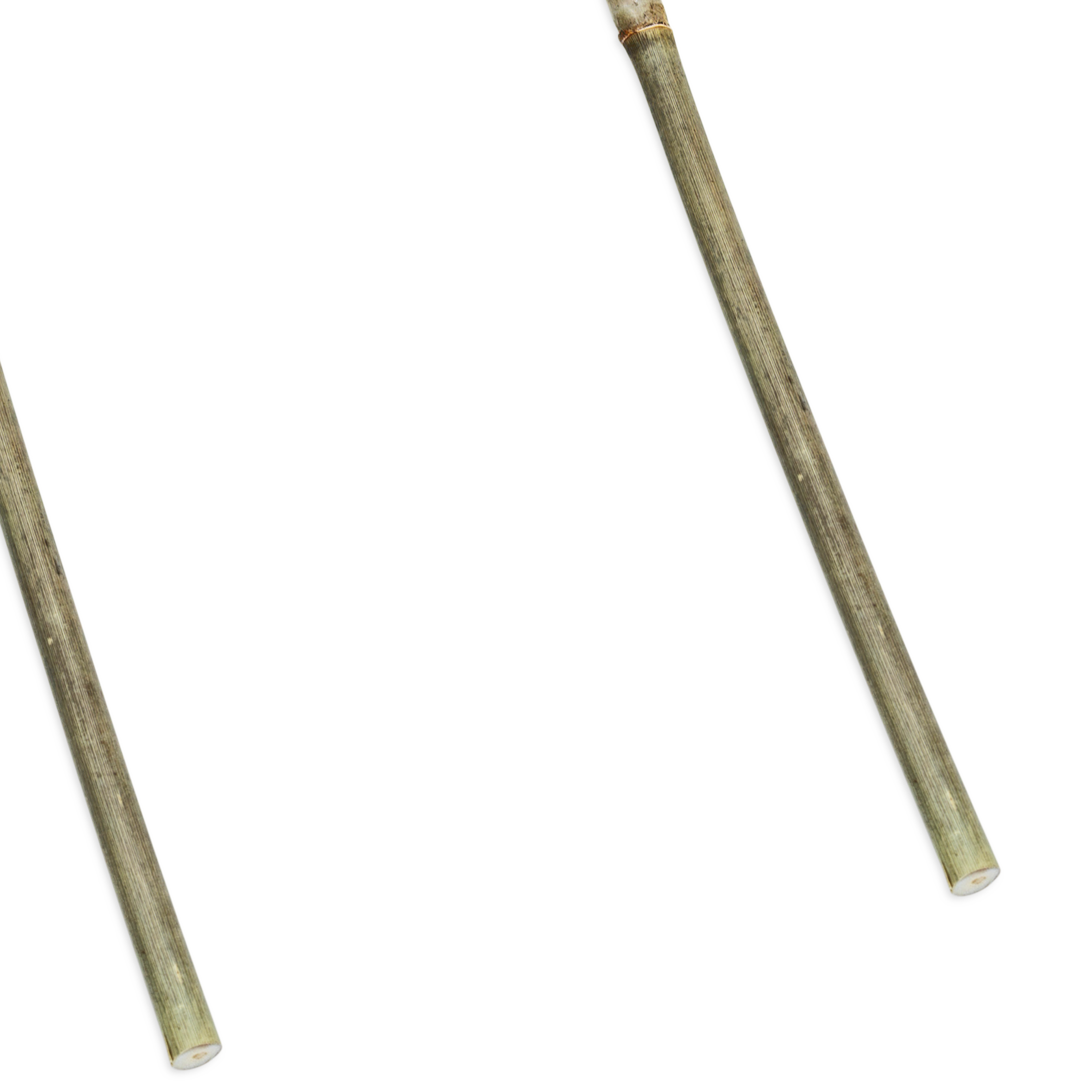 Bambus Pflanzenstütze 75 x 20 cm natur - 6er Set - Holzbogen Kletterhilfe für Rankpflanzen