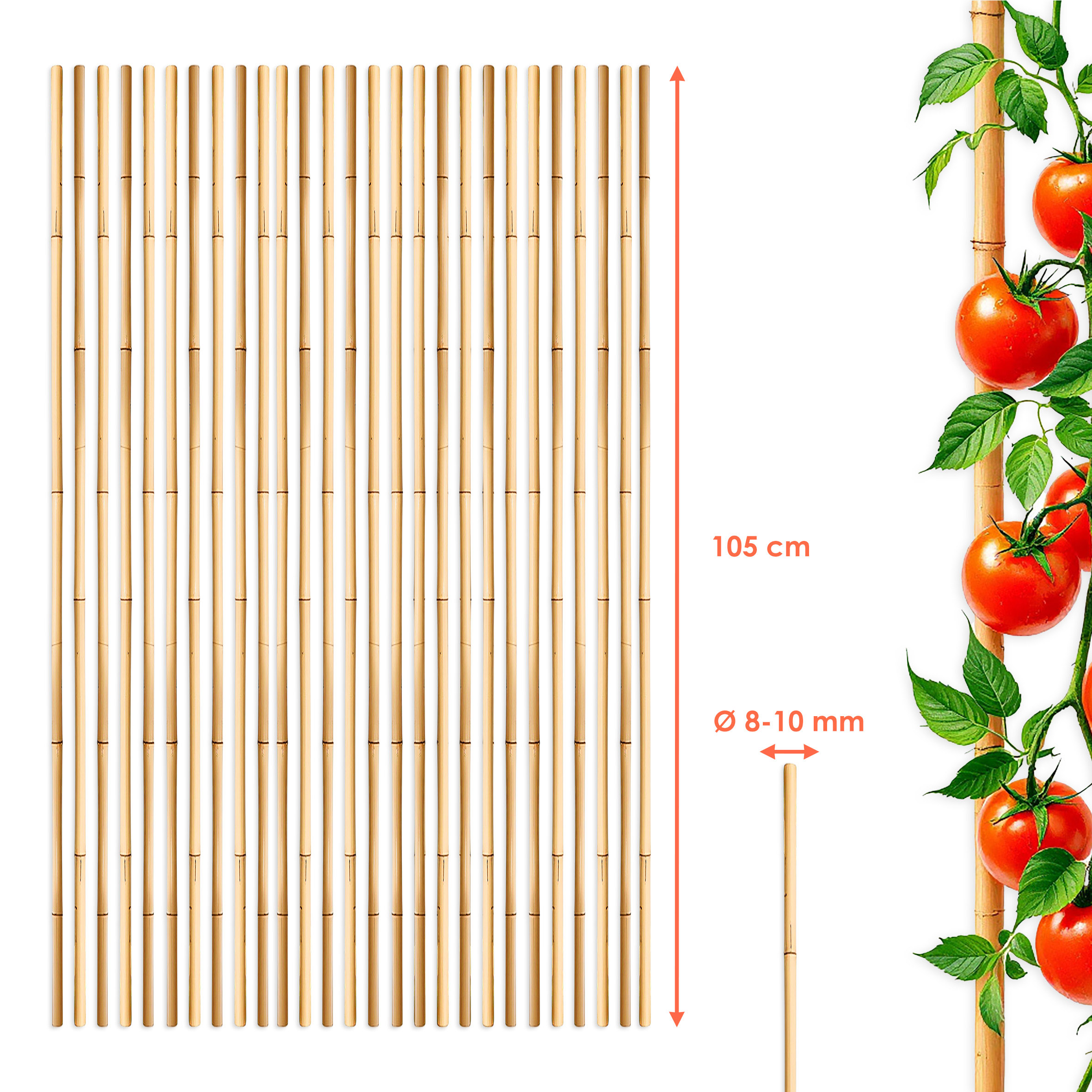 Bambus Pflanzstab für Rankgewächs 105 cm Länge - 30 Stück - Bambusstab Rankhilfe für Tomatenpflanzen
