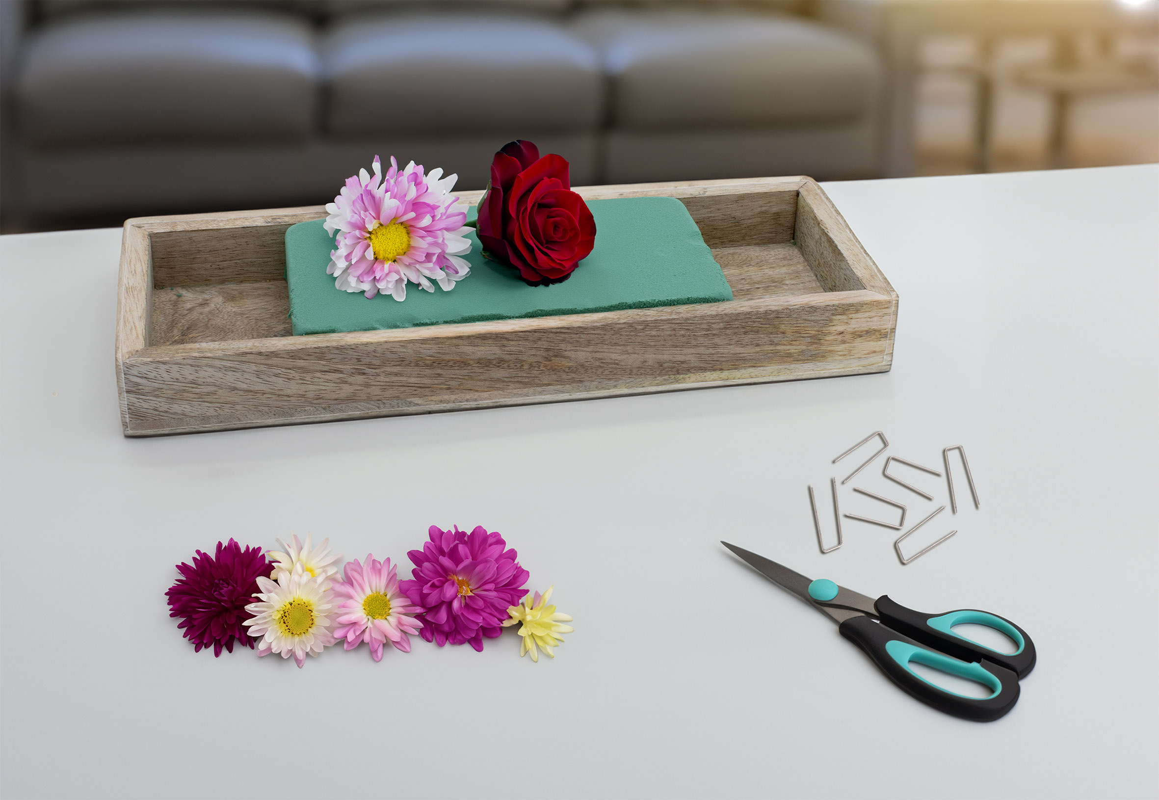 Blumen Steckschaum - rechteckig oder rund