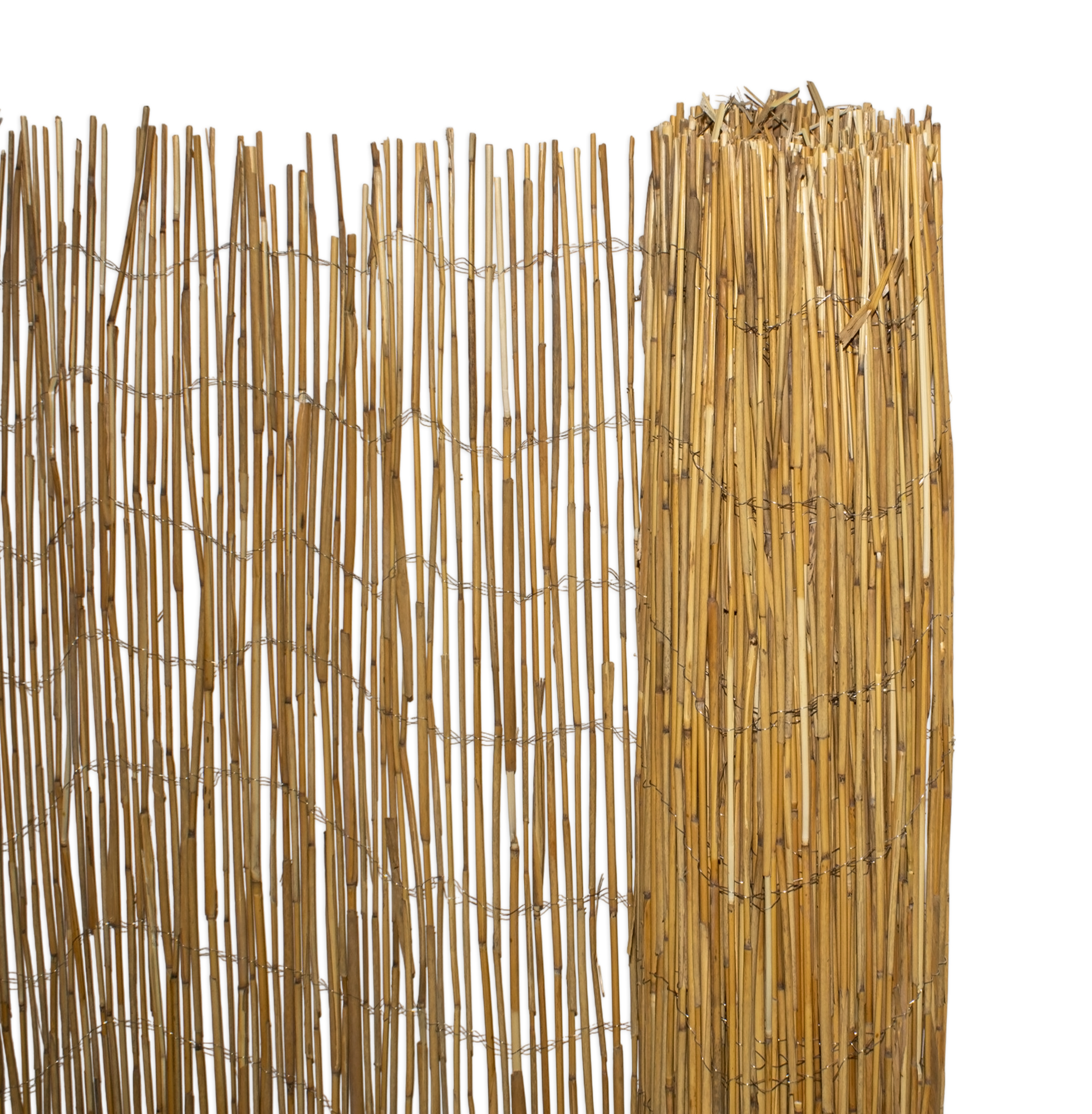 Sichtschutz Matte aus natürlichem Schilf - 500 x 150 cm - Schilfrohr Windschutz Zaun blickdicht