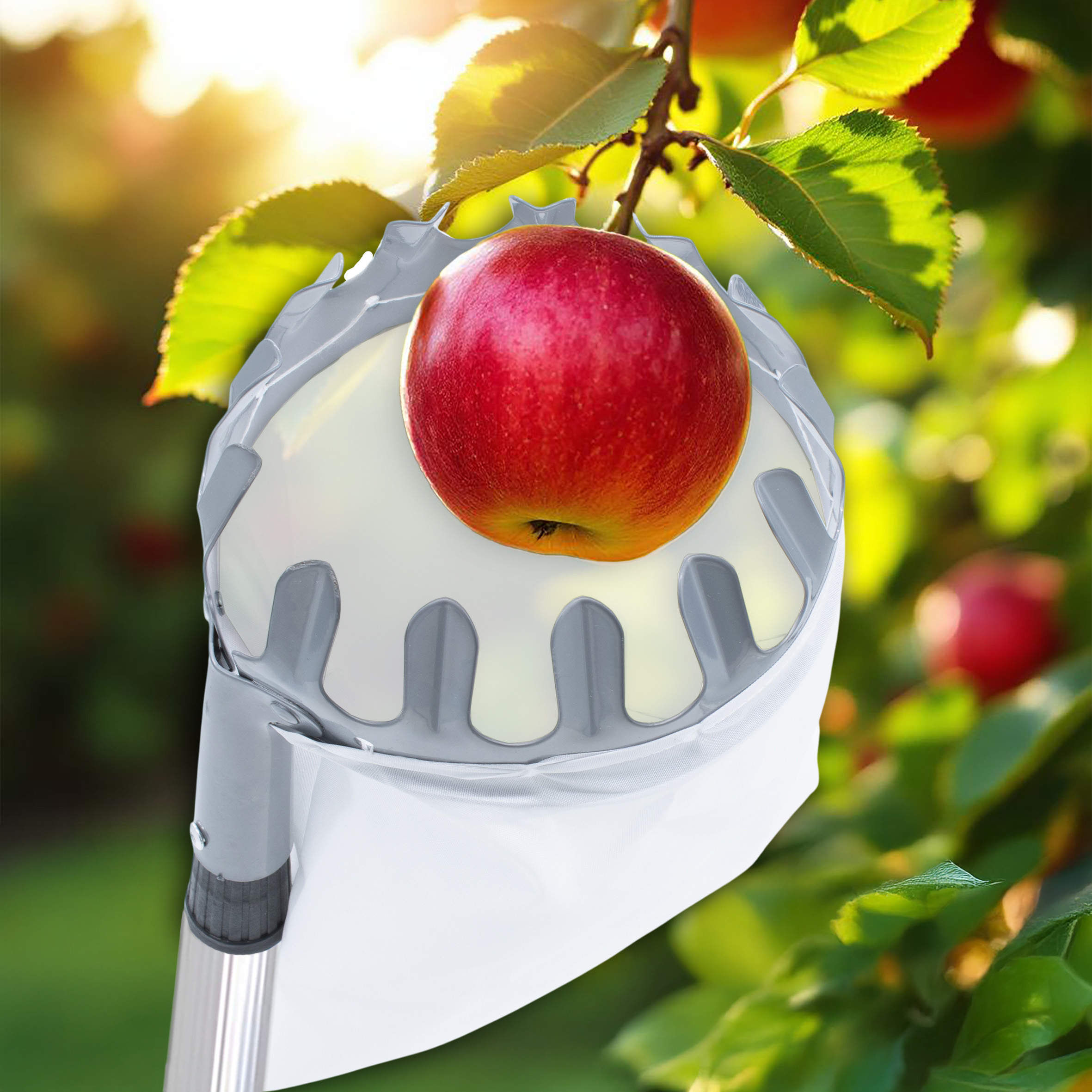 Obstpflücker mit Teleskopstiel und Fangbeutel mit Pflückkranz - ausziehbar bis 240 cm - Fruchtpflücker mit Erntebeutel und Teleskopstange