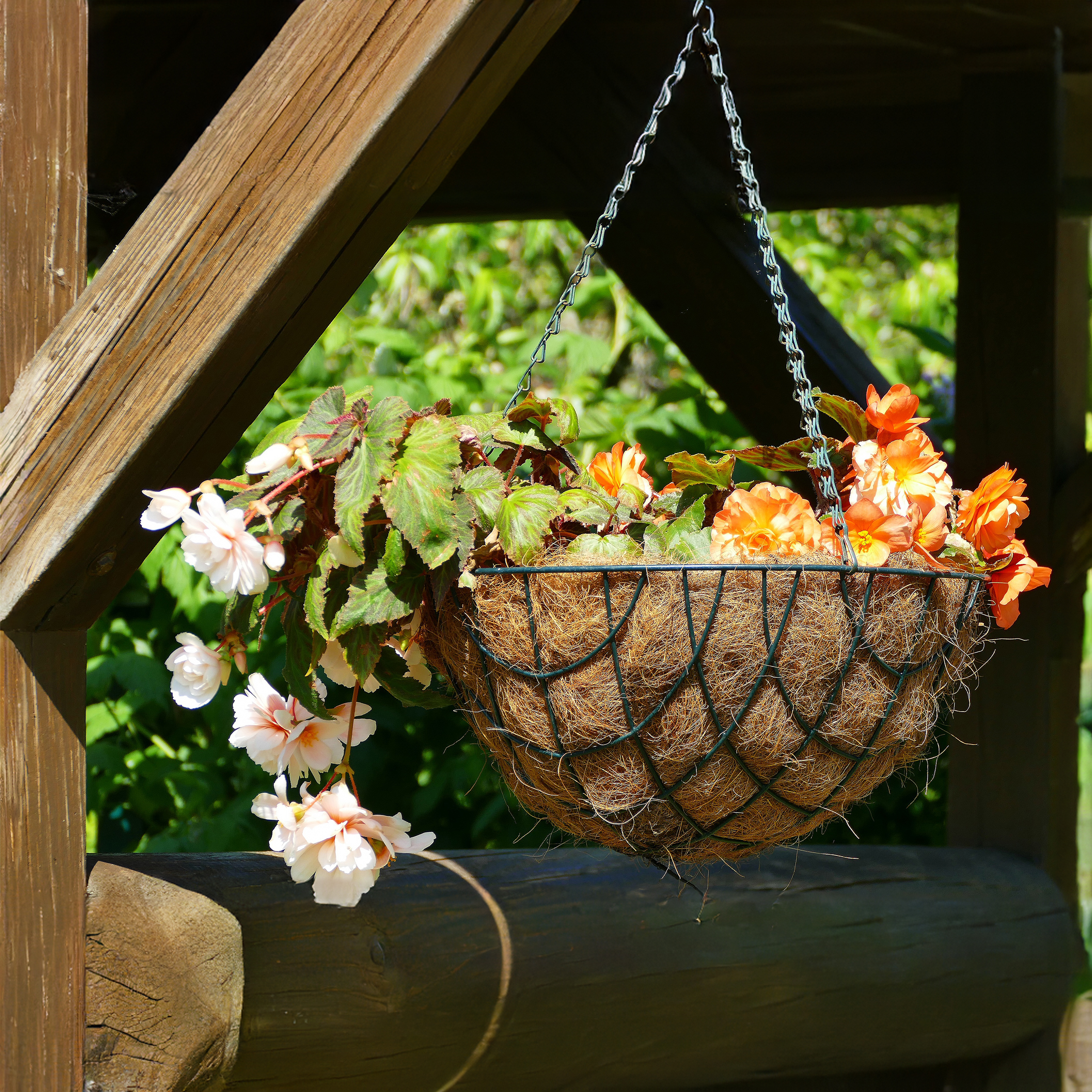 Metall Blumenampel mit Kokos Einsatz - 30 cm