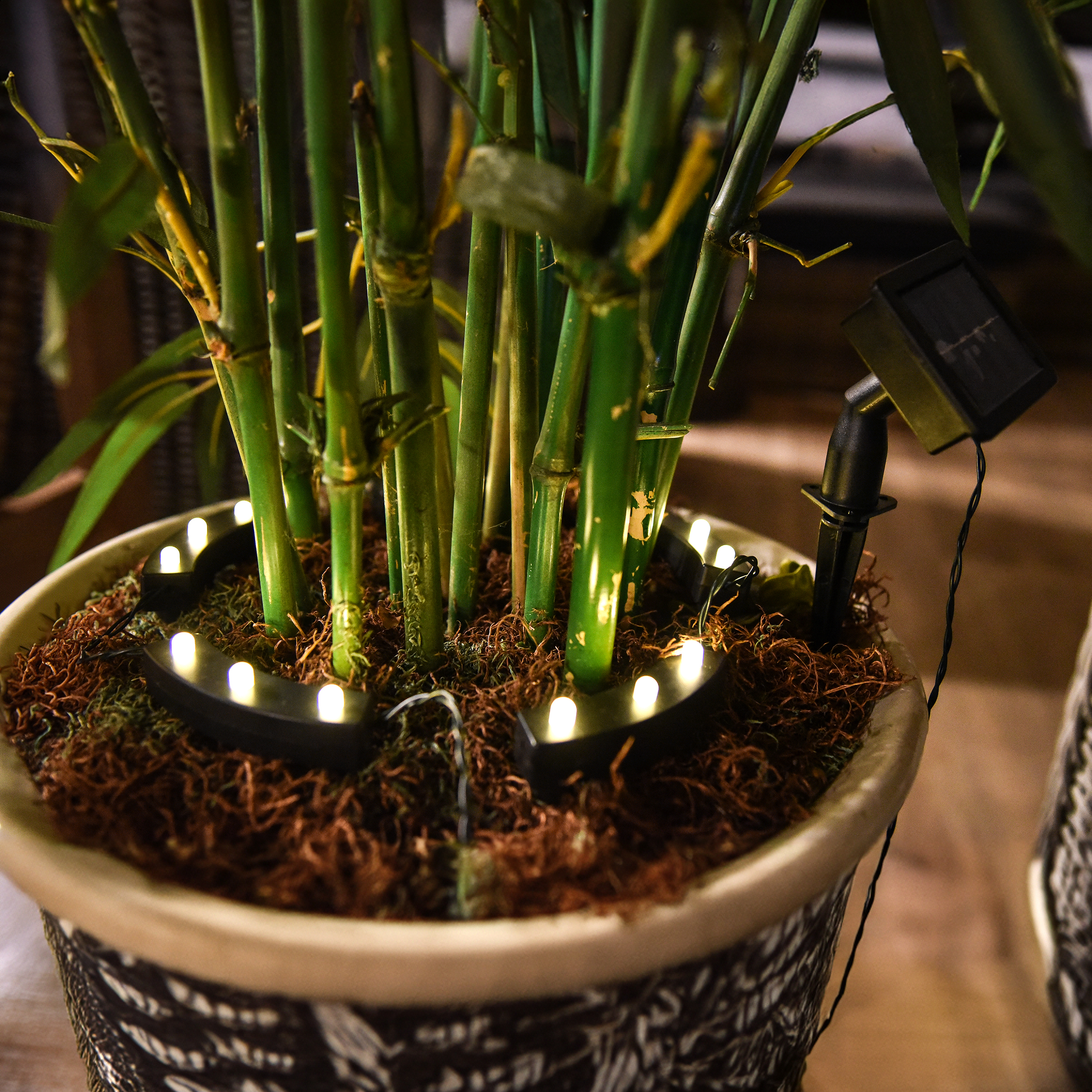 LED Solar Blumentopf Beleuchtung mit 8 Funktionen - 5er Set