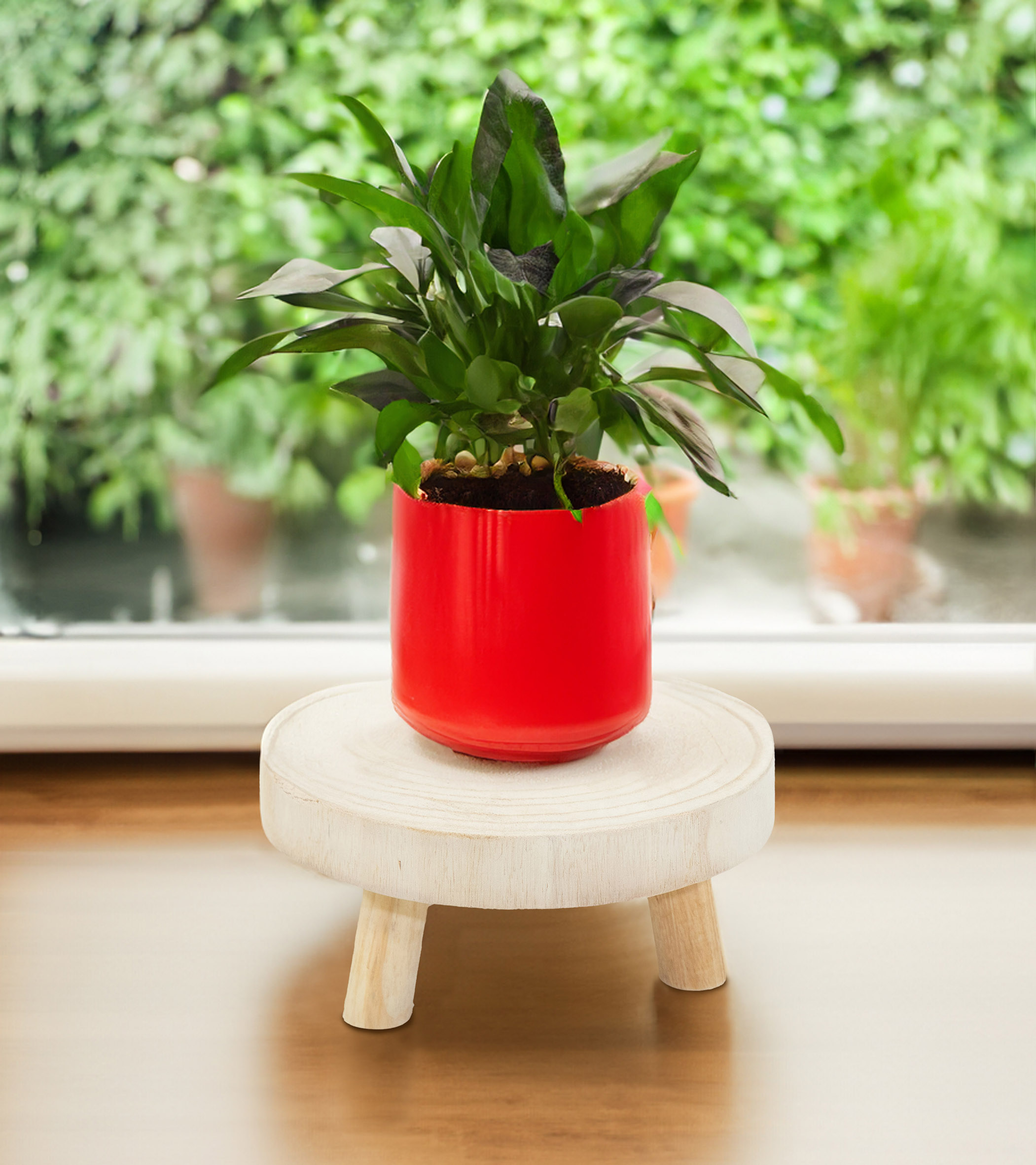 Baumscheibe Pflanzenständer natur rund - 25 cm / groß - Holz Blumenhocker mit 3 Füßen