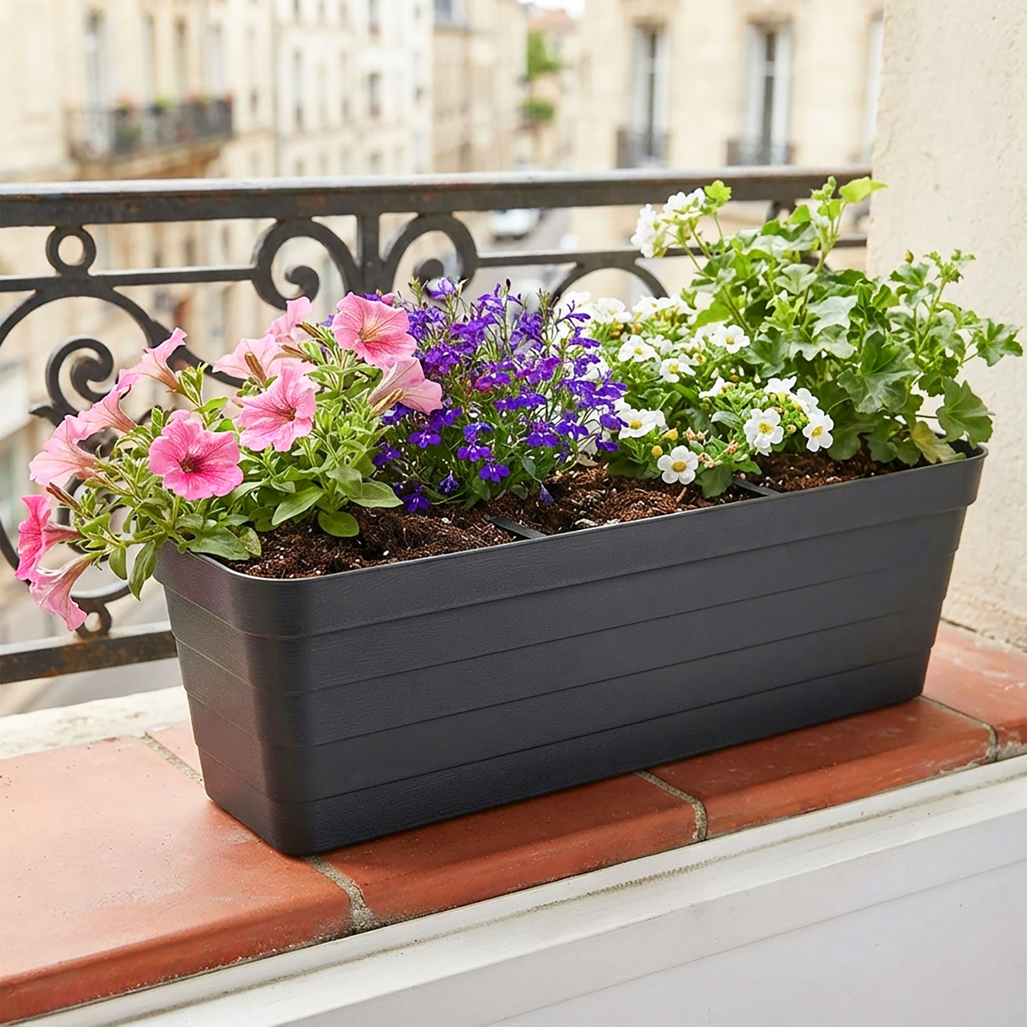 Balkon Blumenkasten Bewässerungssystem - 60 cm - Kunststoff Geländer Pflanztopf in anthrazit