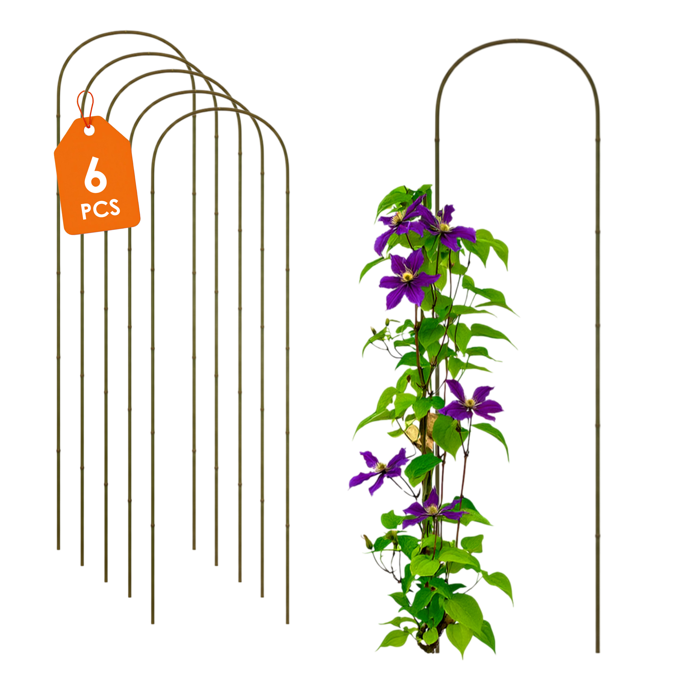 Bambus Pflanzenstütze 75 x 20 cm natur - 6er Set - Holzbogen Kletterhilfe für Rankpflanzen