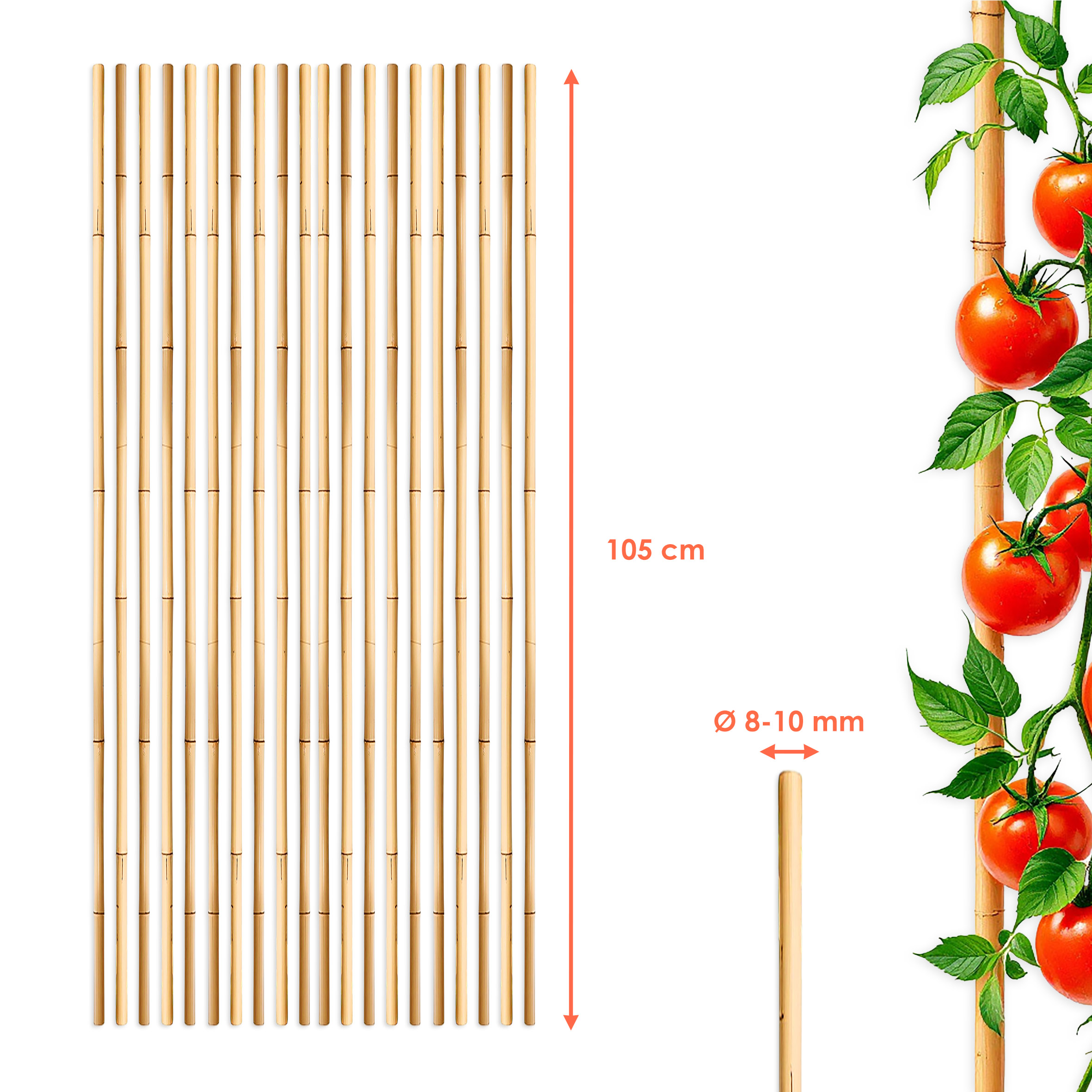 Bambus Pflanzstab für Rankgewächs 105 cm Länge - 20 Stück - Bambusstab Rankhilfe für Tomatenpflanzen