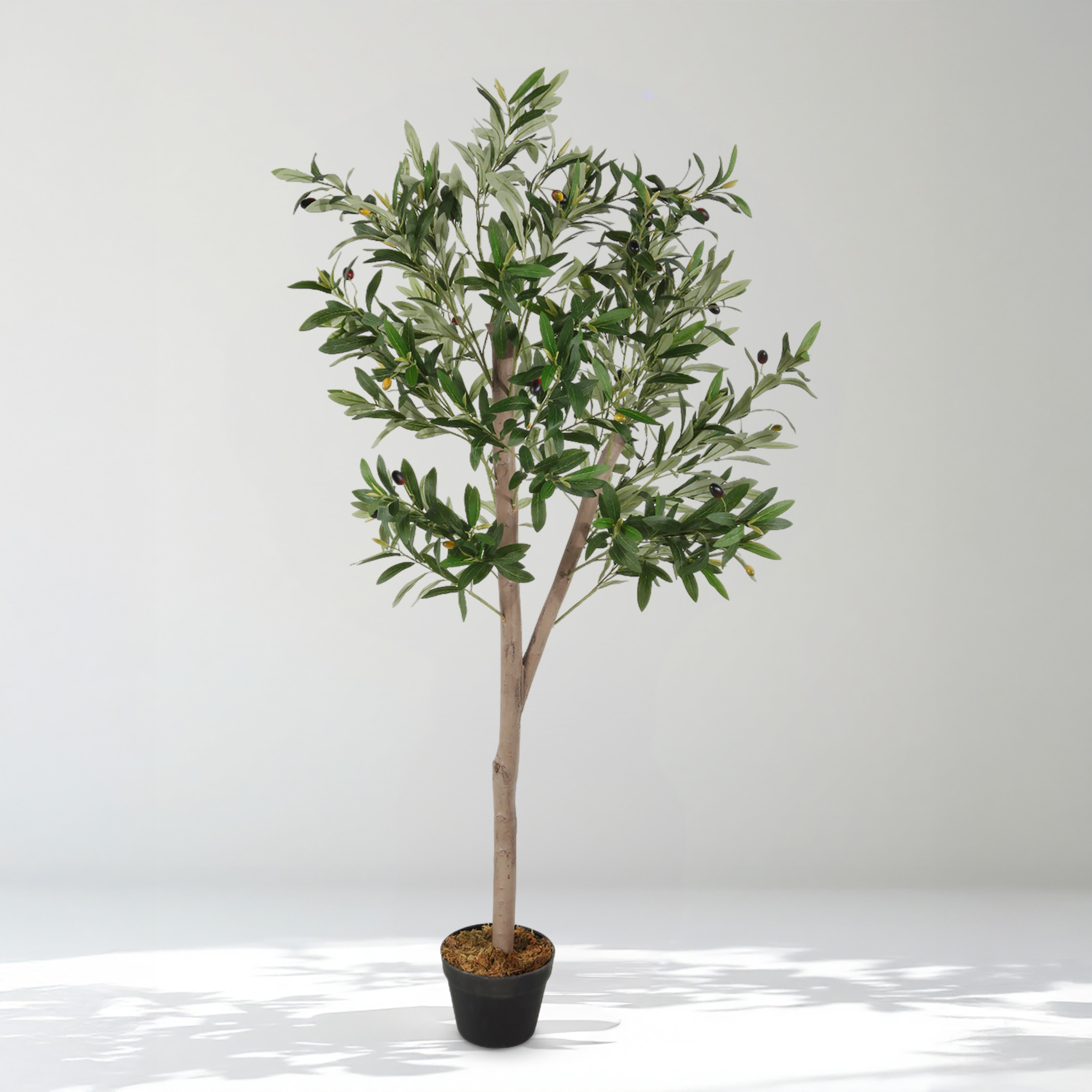 Olivenbaum Kunstpflanze im schwarzen Topf mit 32 Oliven - 150 x 70 cm - Künstlicher Baum im Blumentopf mit 928 Blättern
