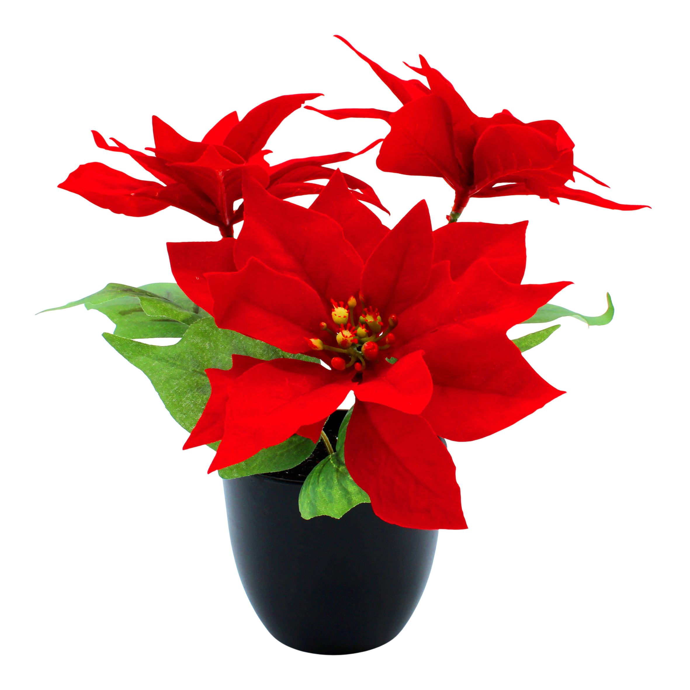 Künstlicher Weihnachtsstern im schwarzen Topf - 27 cm