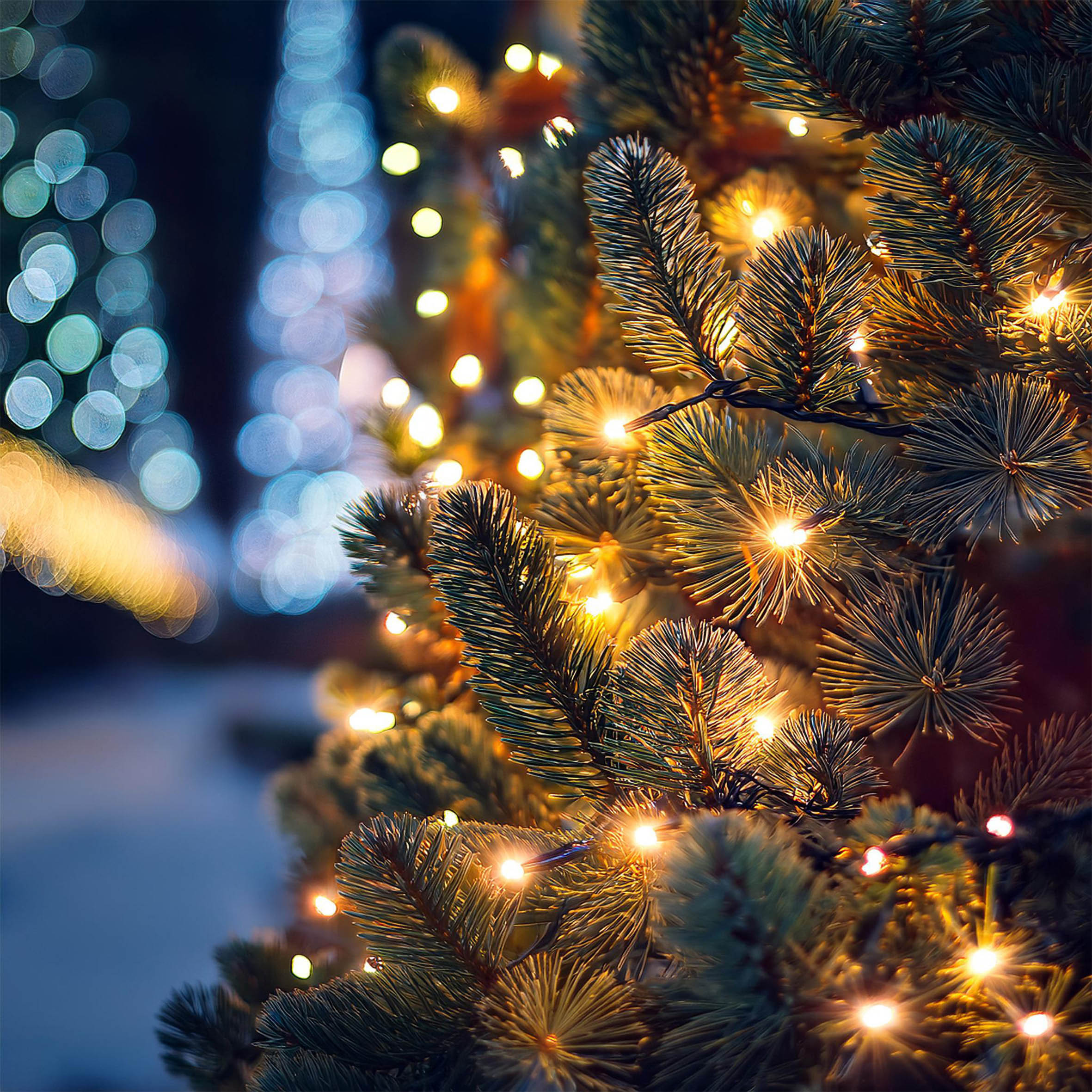 Büschel Lichterkette für Außen warm weiß mit Timer und Netzstecker - 5 m / 384 LED - Outdoor Weihnachtslichterkette mit 8 Funktionen