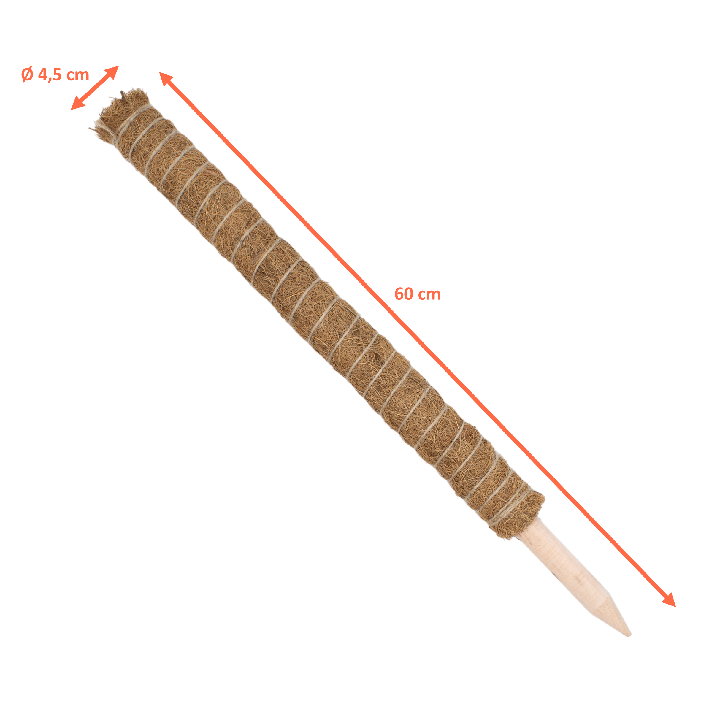 Kokos Rankstab 60 cm natur - 4 Stück - Pflanzstab für Zimmerpflanzen