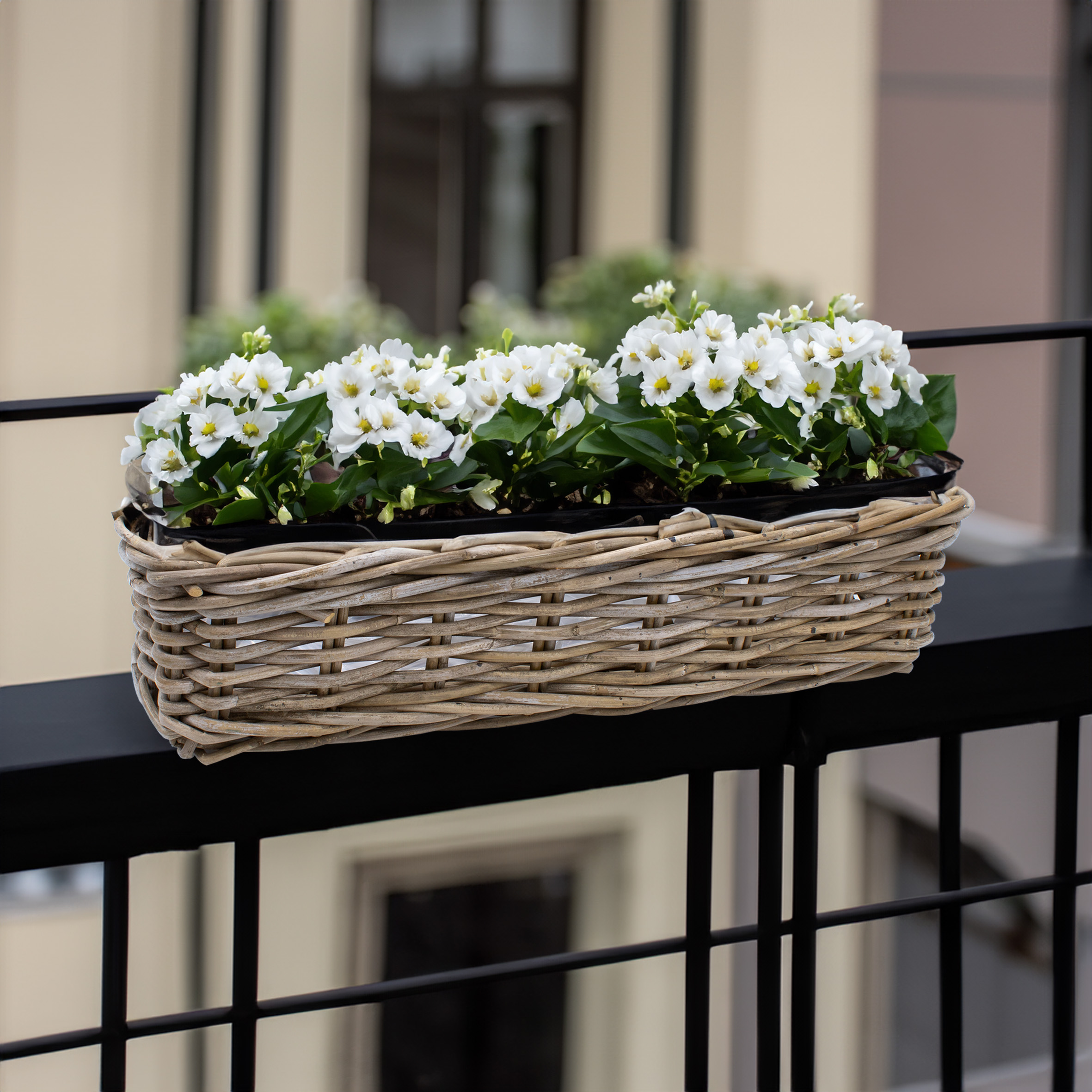 Rattan Balkonkasten natur 60 x 20 cm - 2er Set - Weide Pflanzkorb mit Halterung