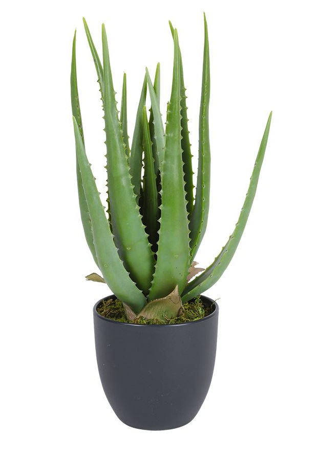 Aloe Vera Kunstpflanze im Topf ca. 45 cm