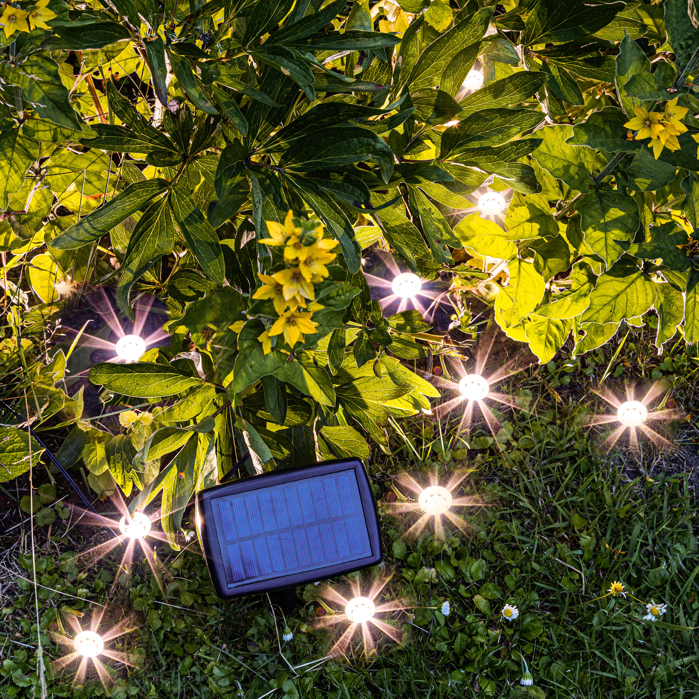LED Solar Pflanzenstrahler klein - 10er Set - Mini Gartenstrahler warm weiß - Garten Deko Beleuchtung 