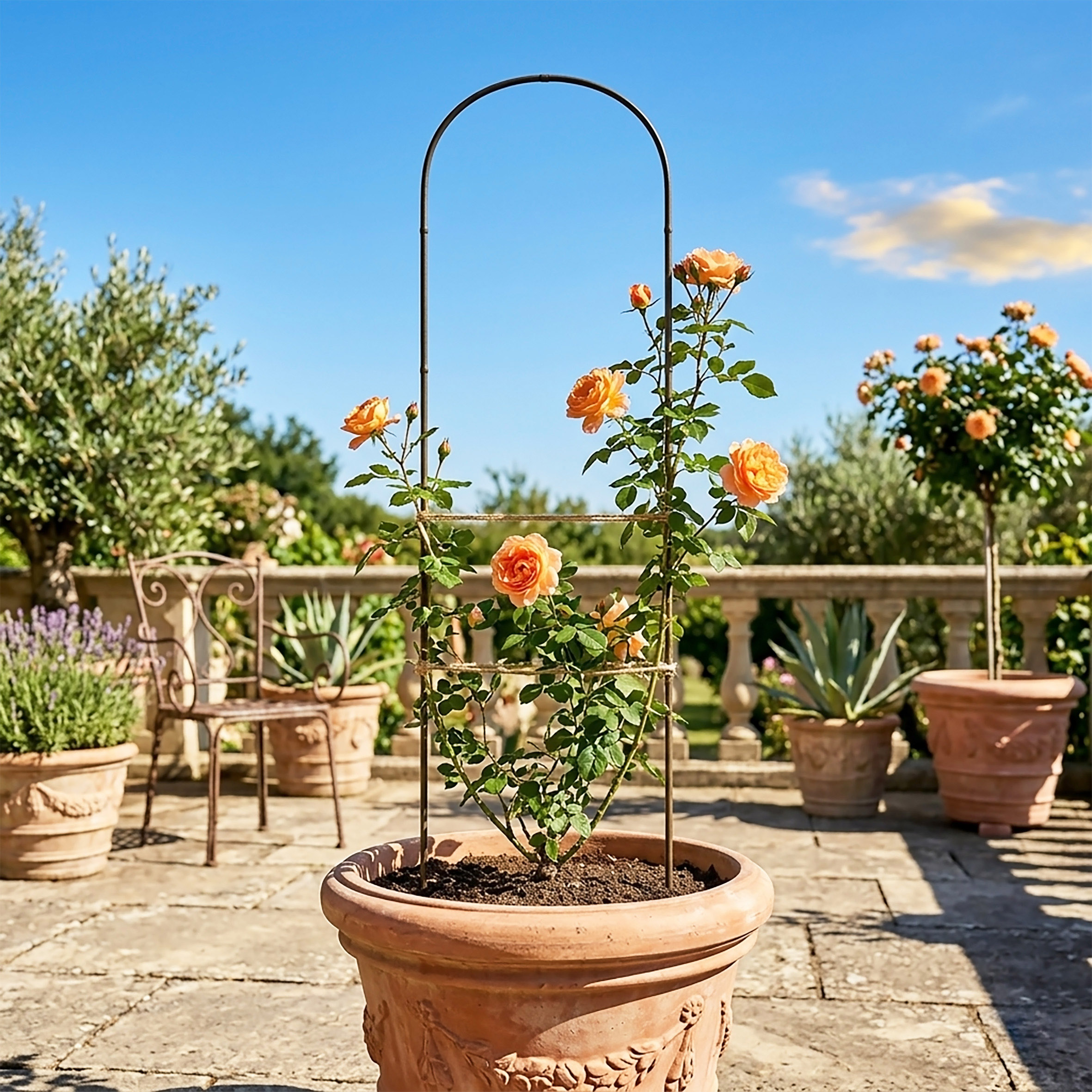 Bambus Pflanzenstütze 75 x 20 cm natur - 6er Set - Holzbogen Kletterhilfe für Rankpflanzen