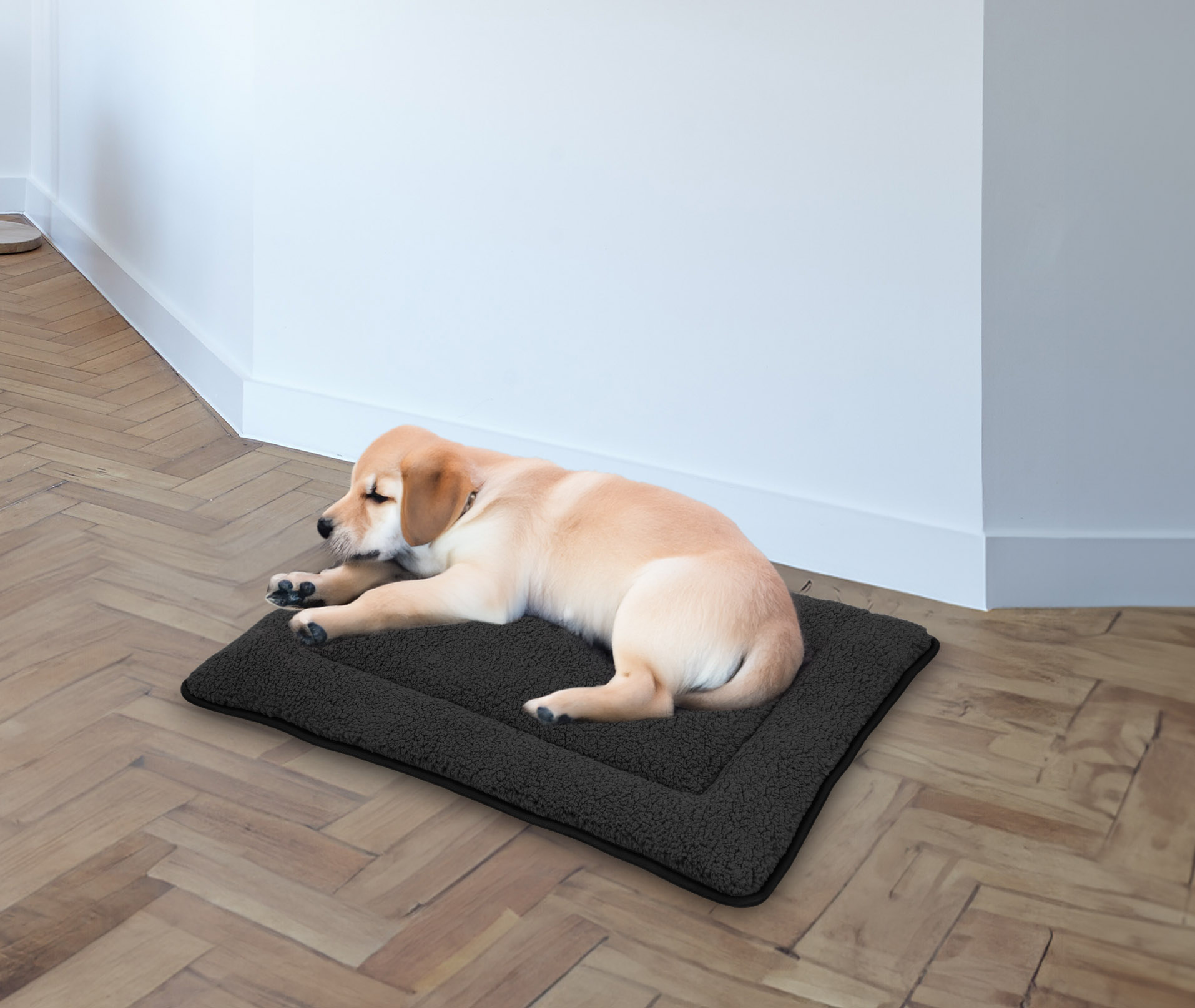 Plüsch Haustiermatte waschbar 60 x 40 cm - anthrazit - Hundebett mit rutschfester Unterseite