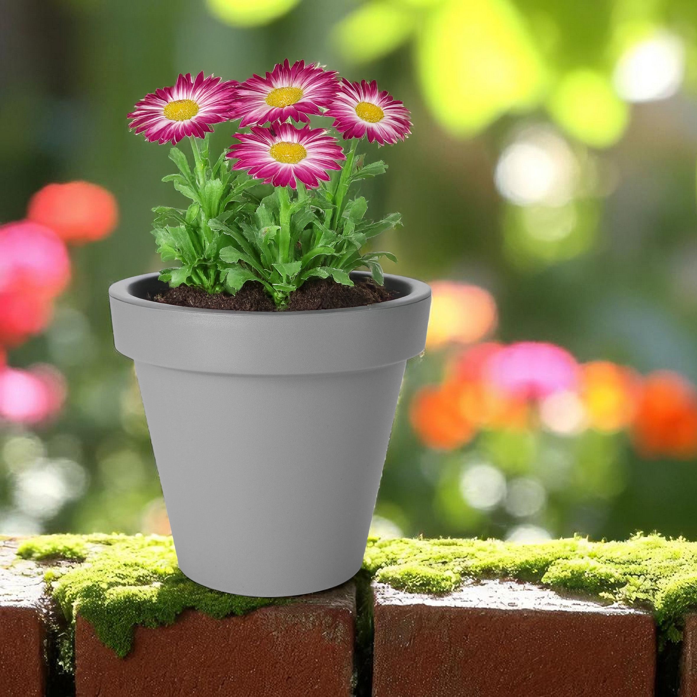 Kunststoff Pflanzkübel XS rund Ø 25 cm - hellgrau - Blumenkübel klein für Außen und Innen